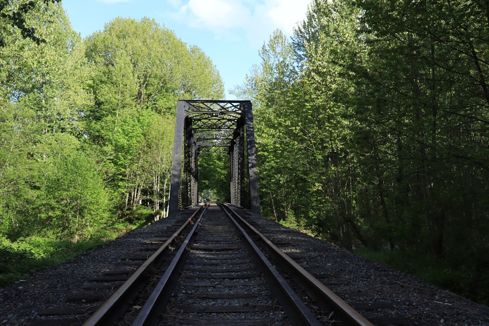 a train track with trees on either side of it