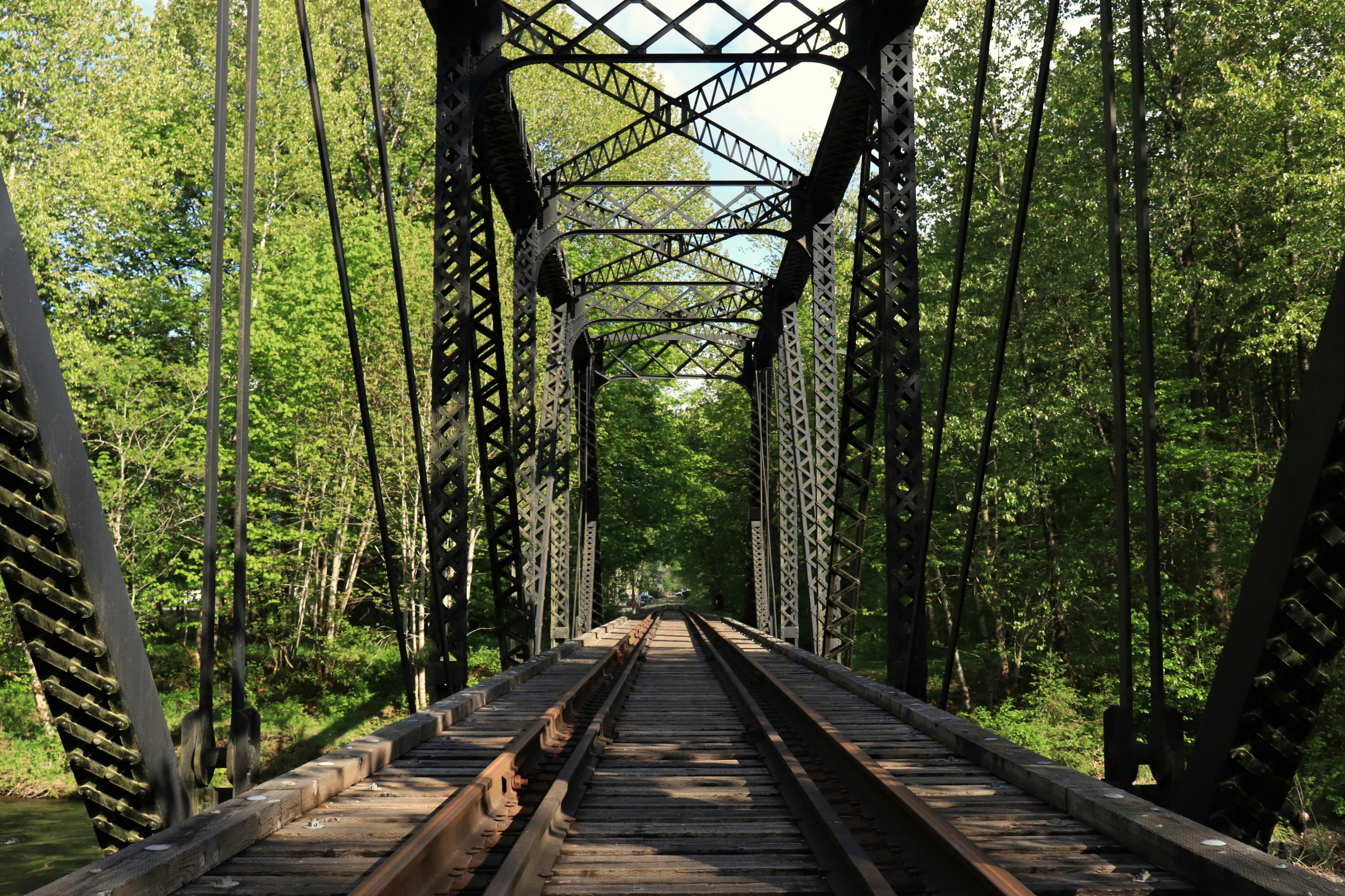 Photo by giulicanderle