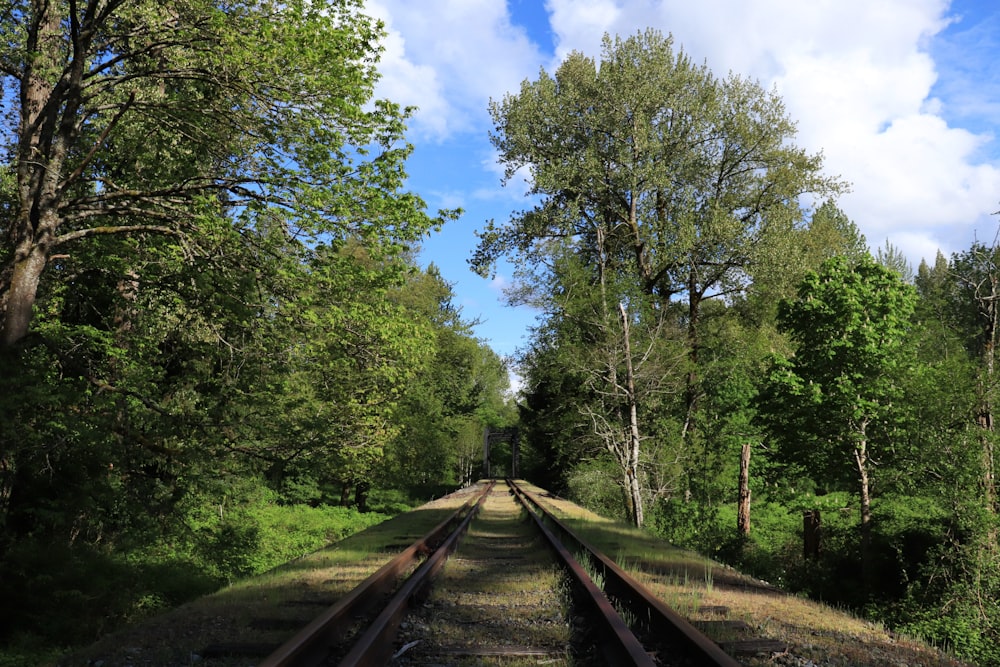 a train track surrounded by trees