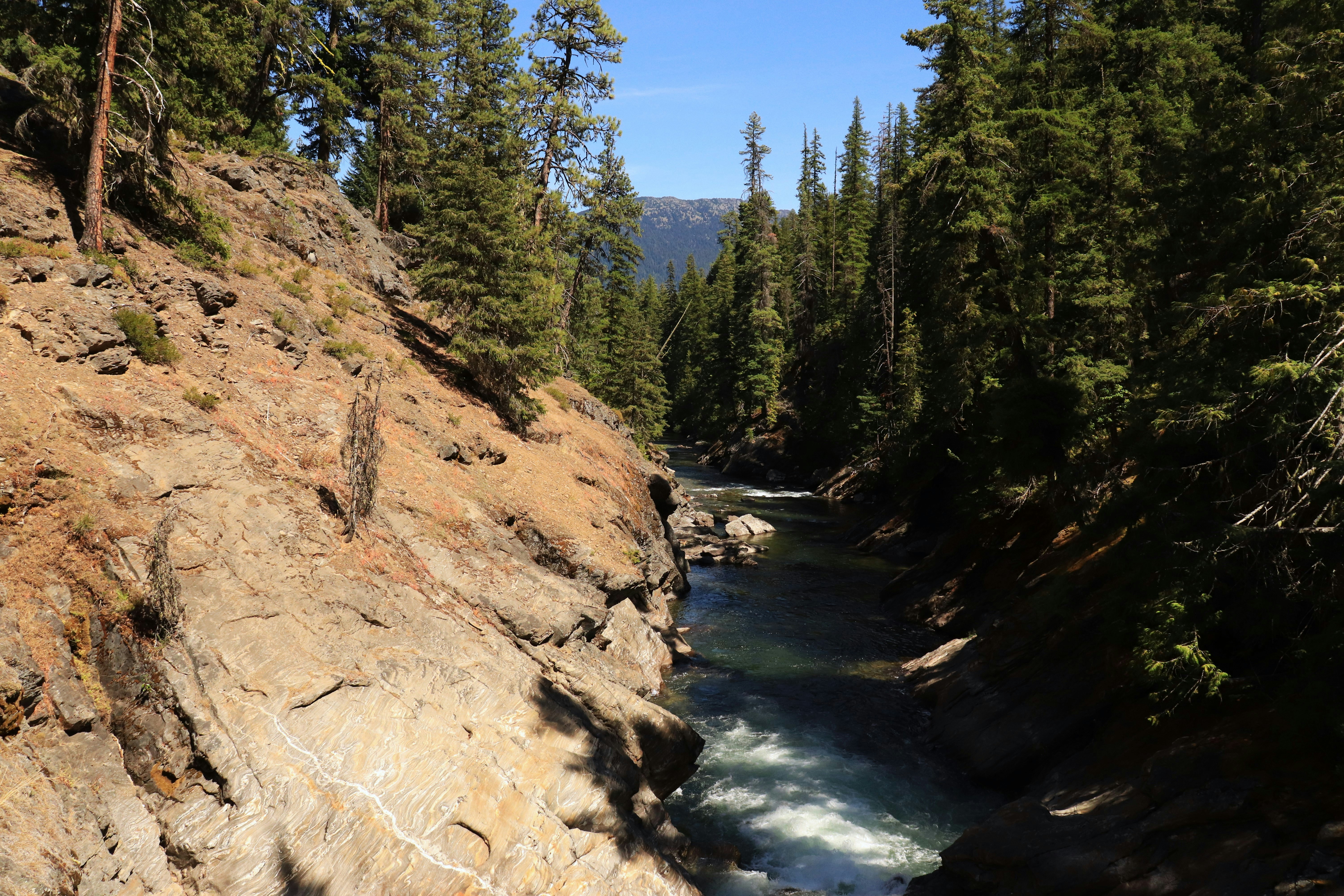 Photo by giulicanderle