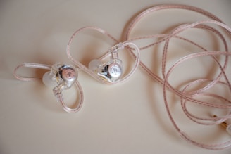a pair of earrings