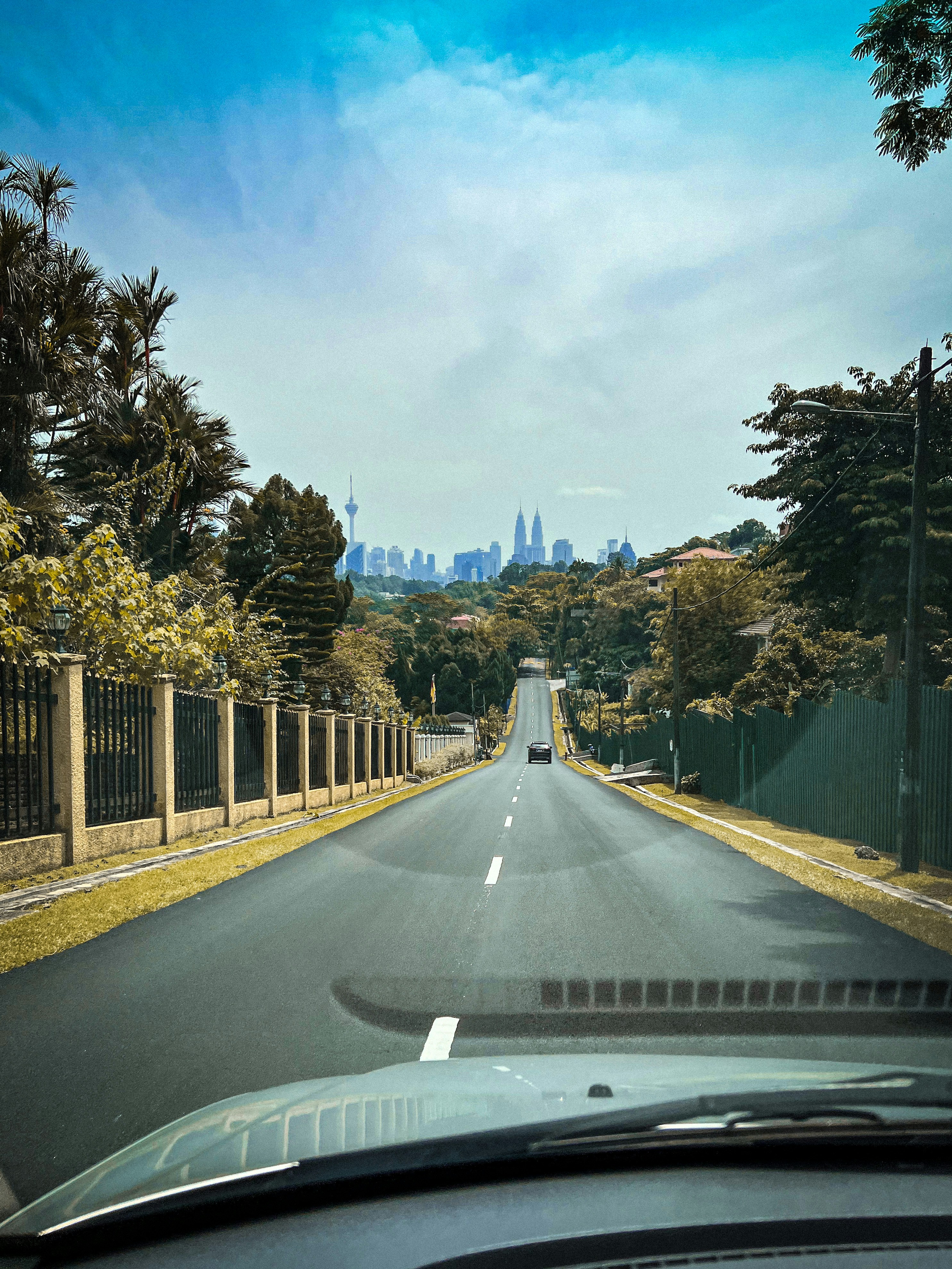 a road with trees on the side