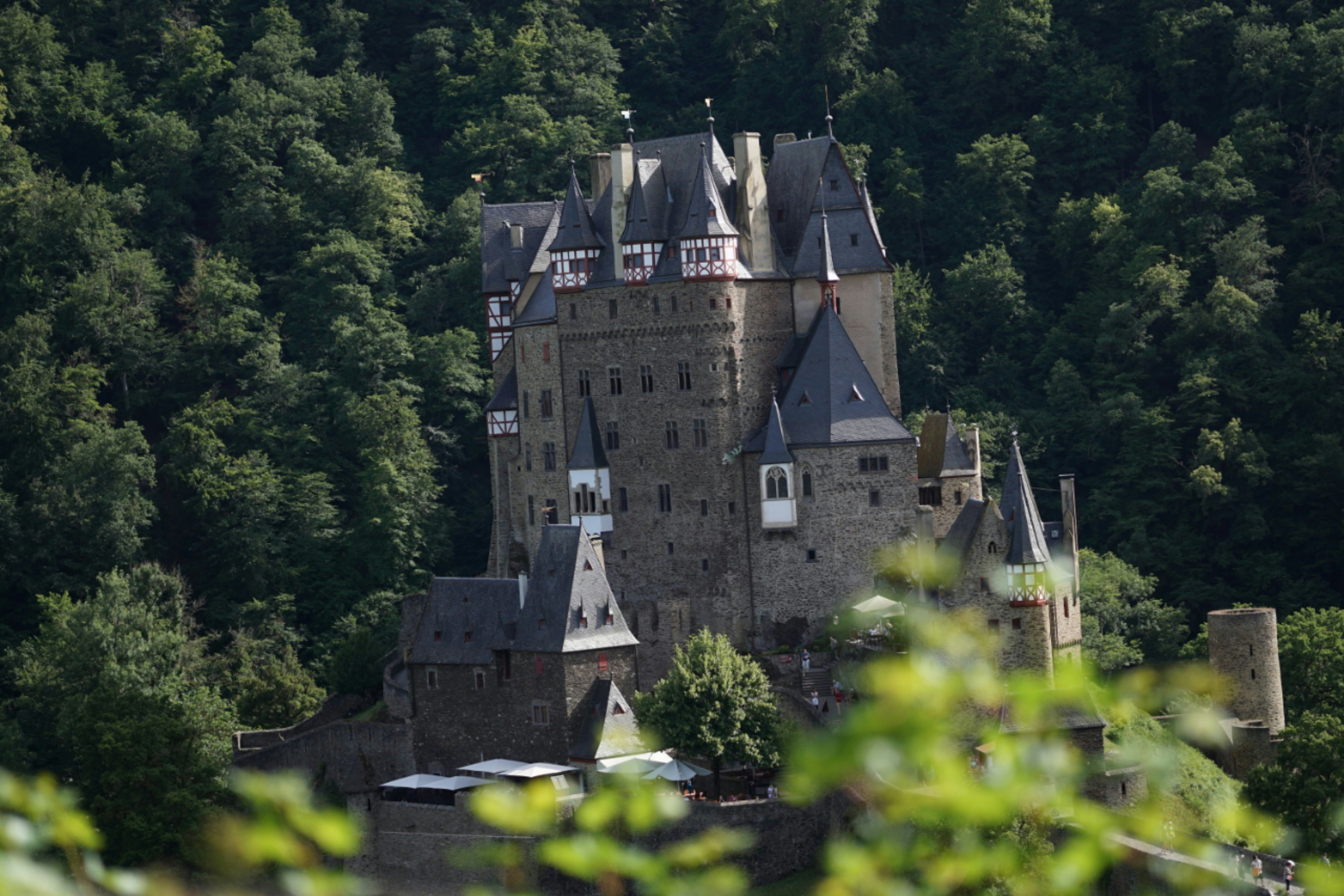 Photo by krzysztof_s