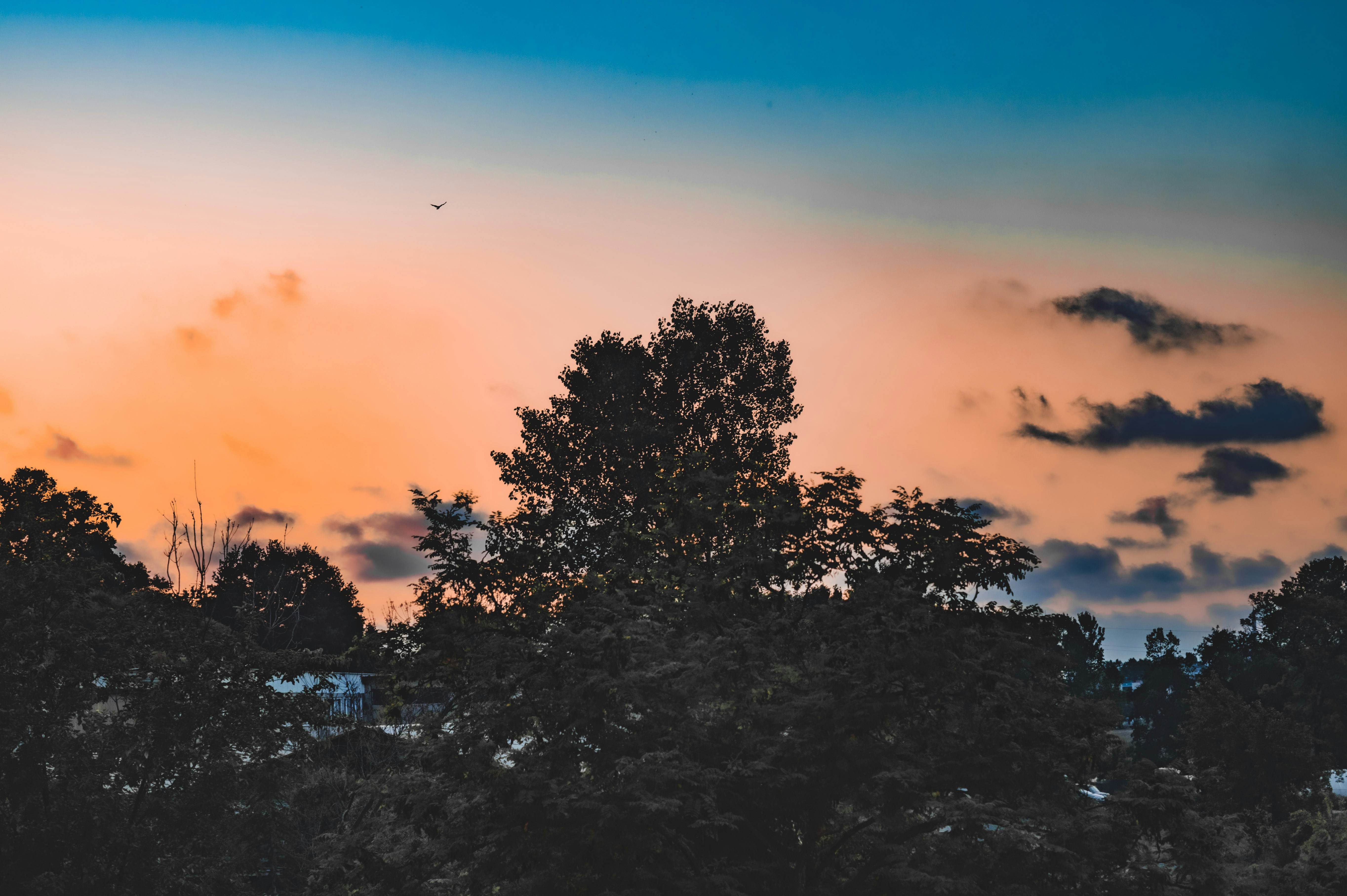 Photo by sanlad