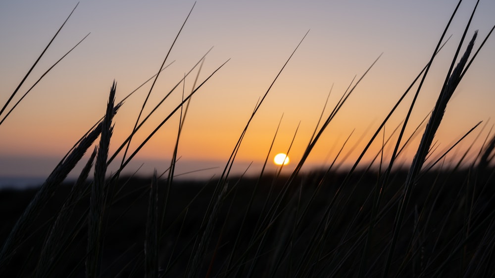 a sunset over a field