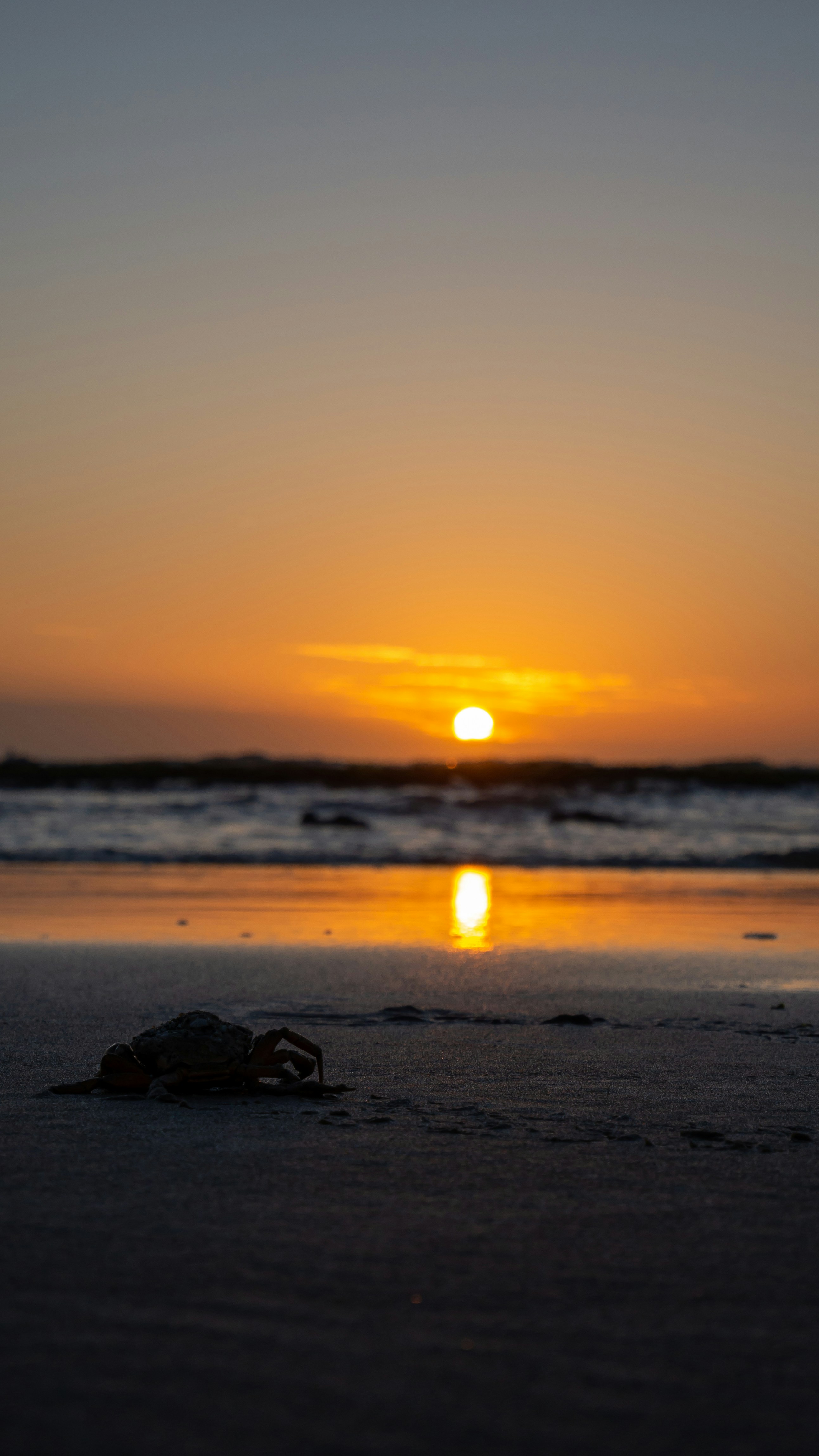 Photo by marv1n14ll