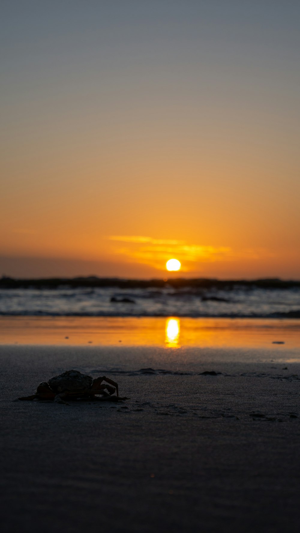 a sunset over a beach