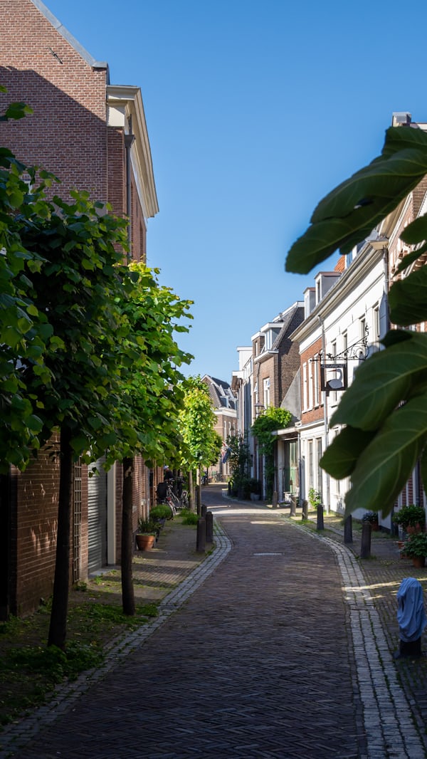 Jak kupic dom w holandii (hoe koop je een huis in Nederland)