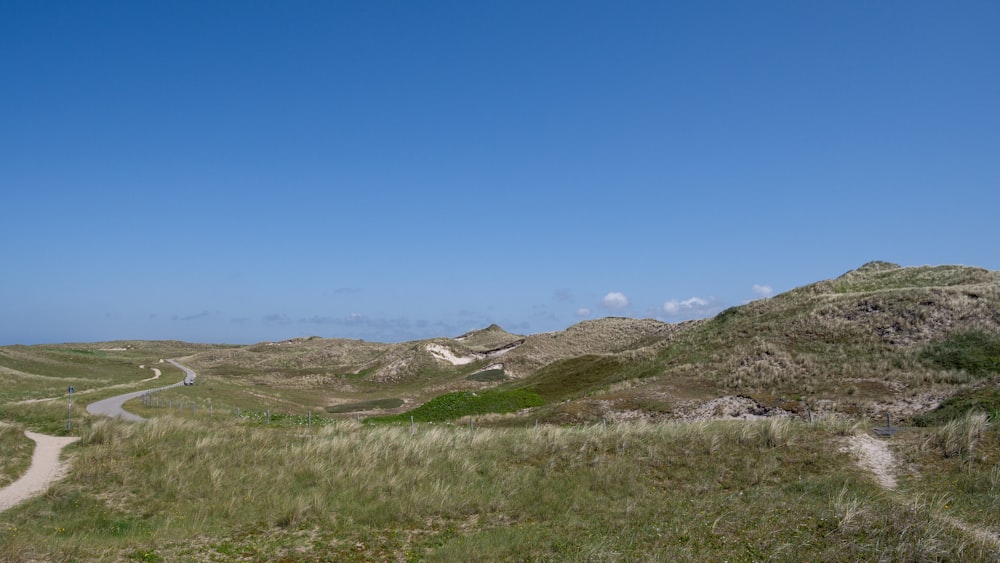 a road going through a grassy area