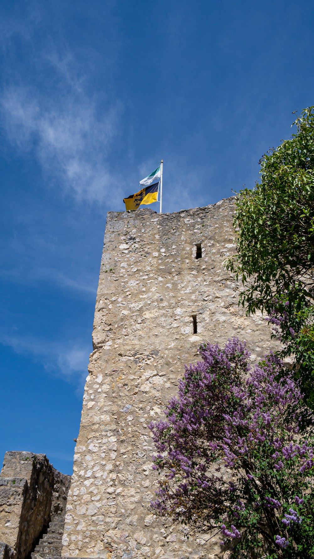 Ein Schloss mit einer Flagge oben