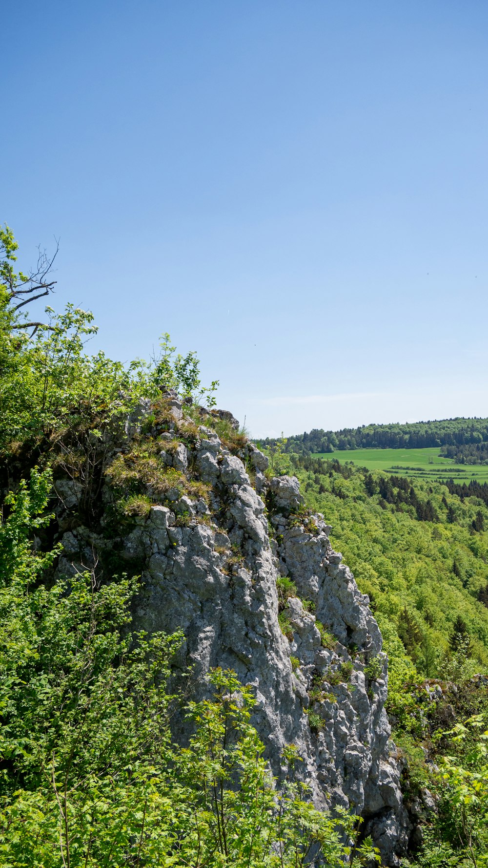 a large rock cliff with trees on it