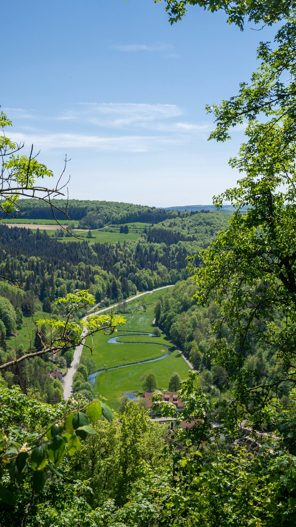 a green valley with trees and a river