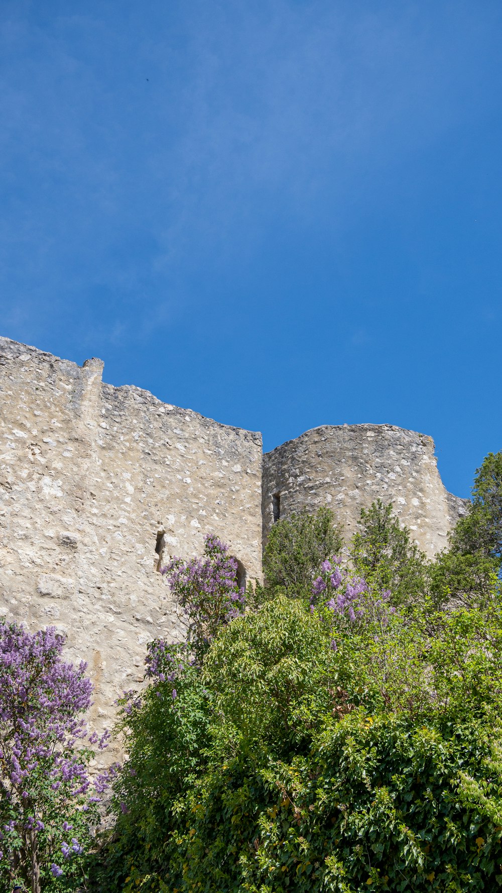 Un castillo de piedra en una colina