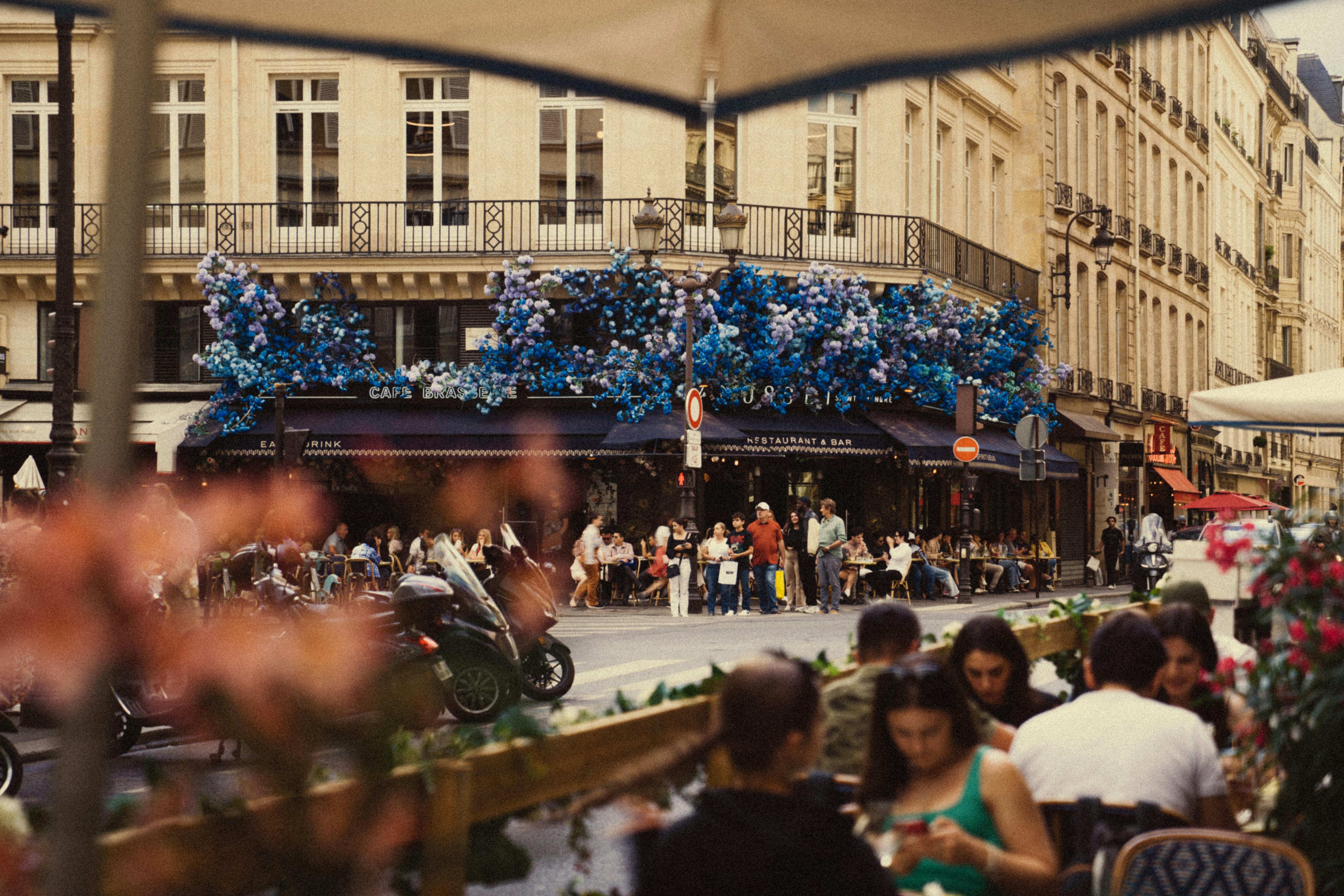 Image by Dushawn Jovic via Unsplash