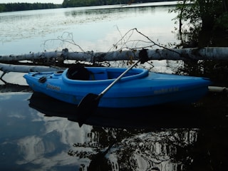 A blue kayak is resting near the shore of a calm lake, surrounded by greenery. The water surface reflects the dense trees and clouds above, while a fallen birch tree with peeling white bark lies across the water. The scene is tranquil and serene, suggesting a quiet afternoon near nature.