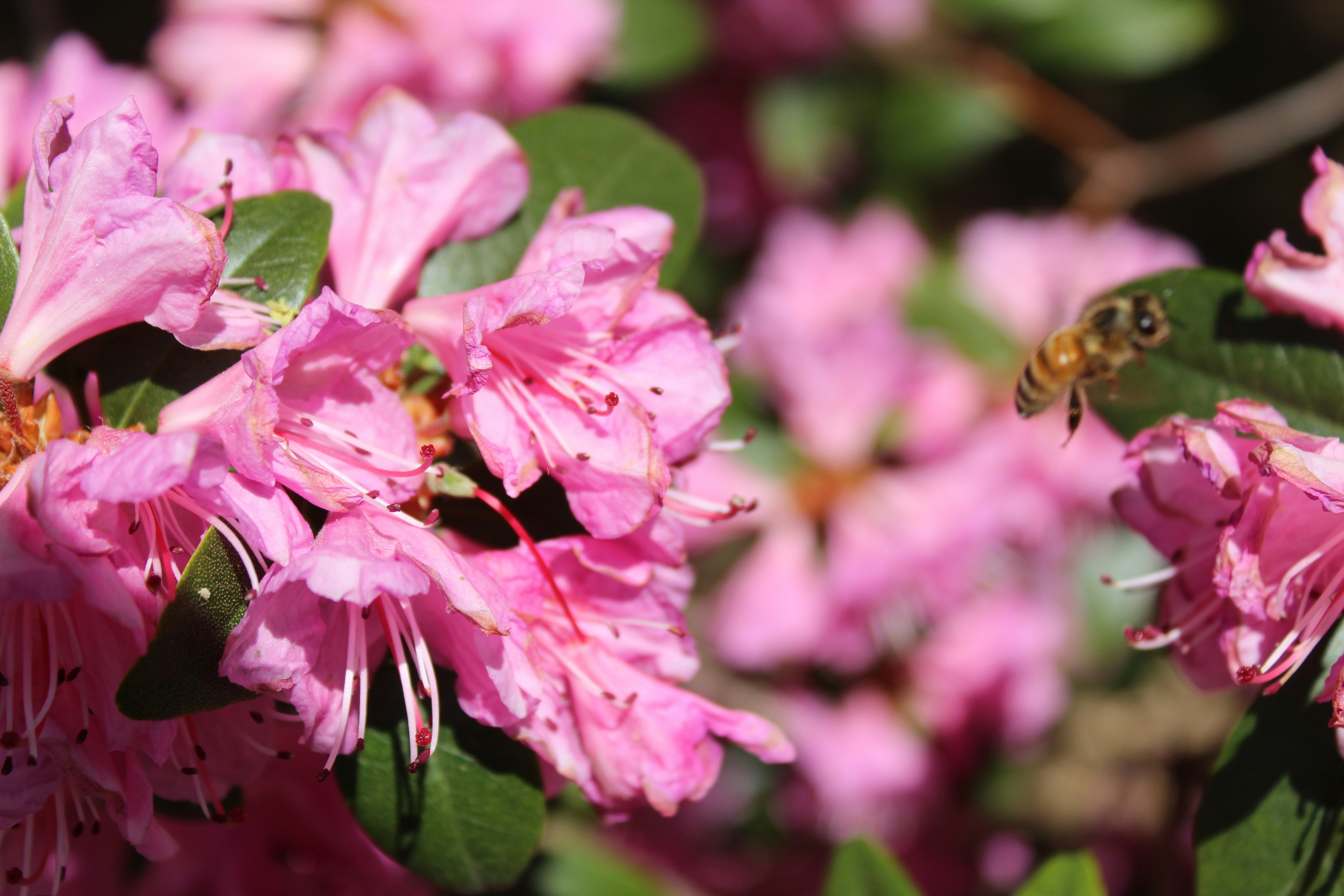 Photo by aidanschoenephotography