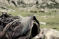 a close-up of a saddle