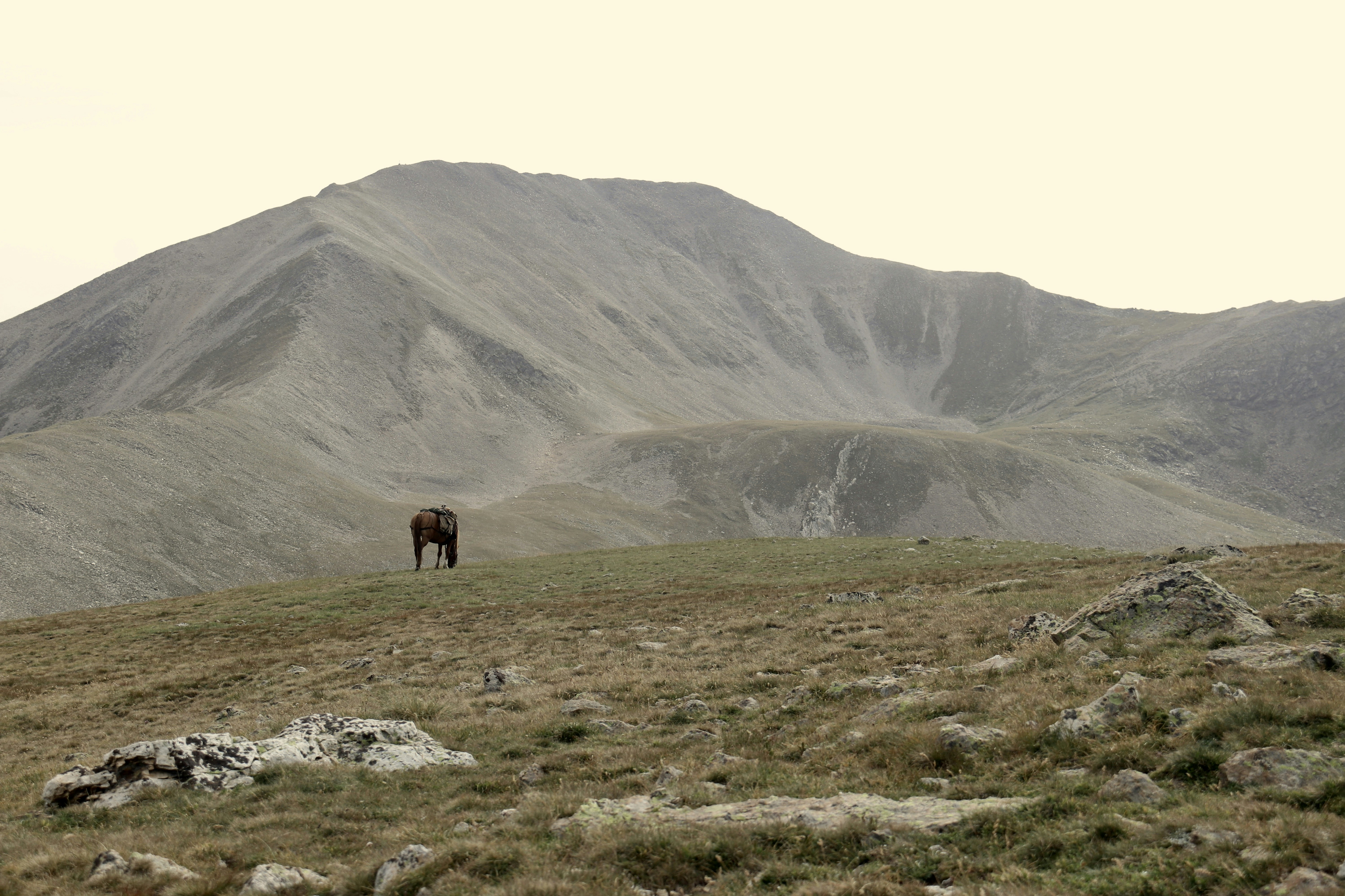 Photo by fabienmaurin