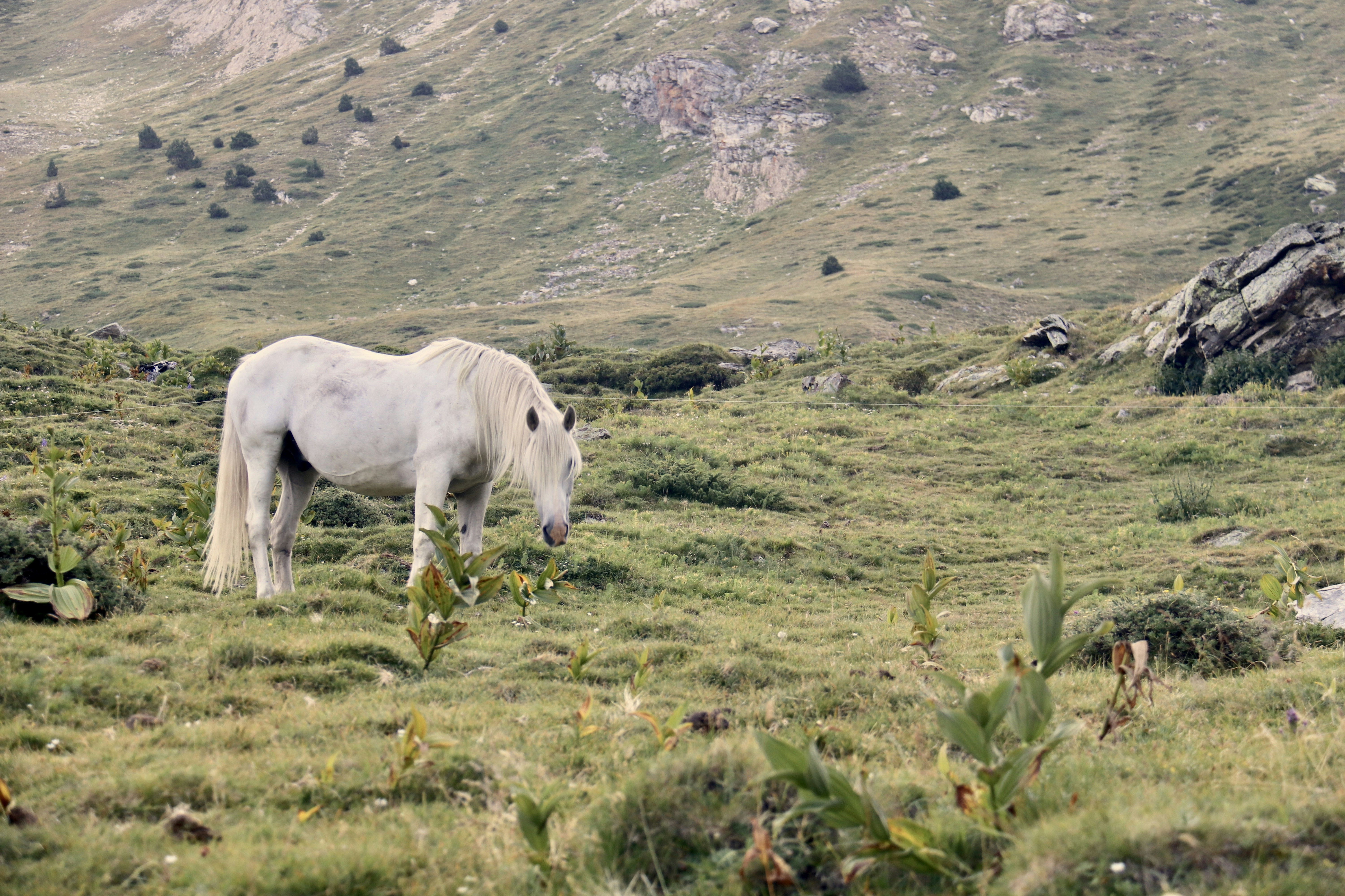 Photo by fabienmaurin
