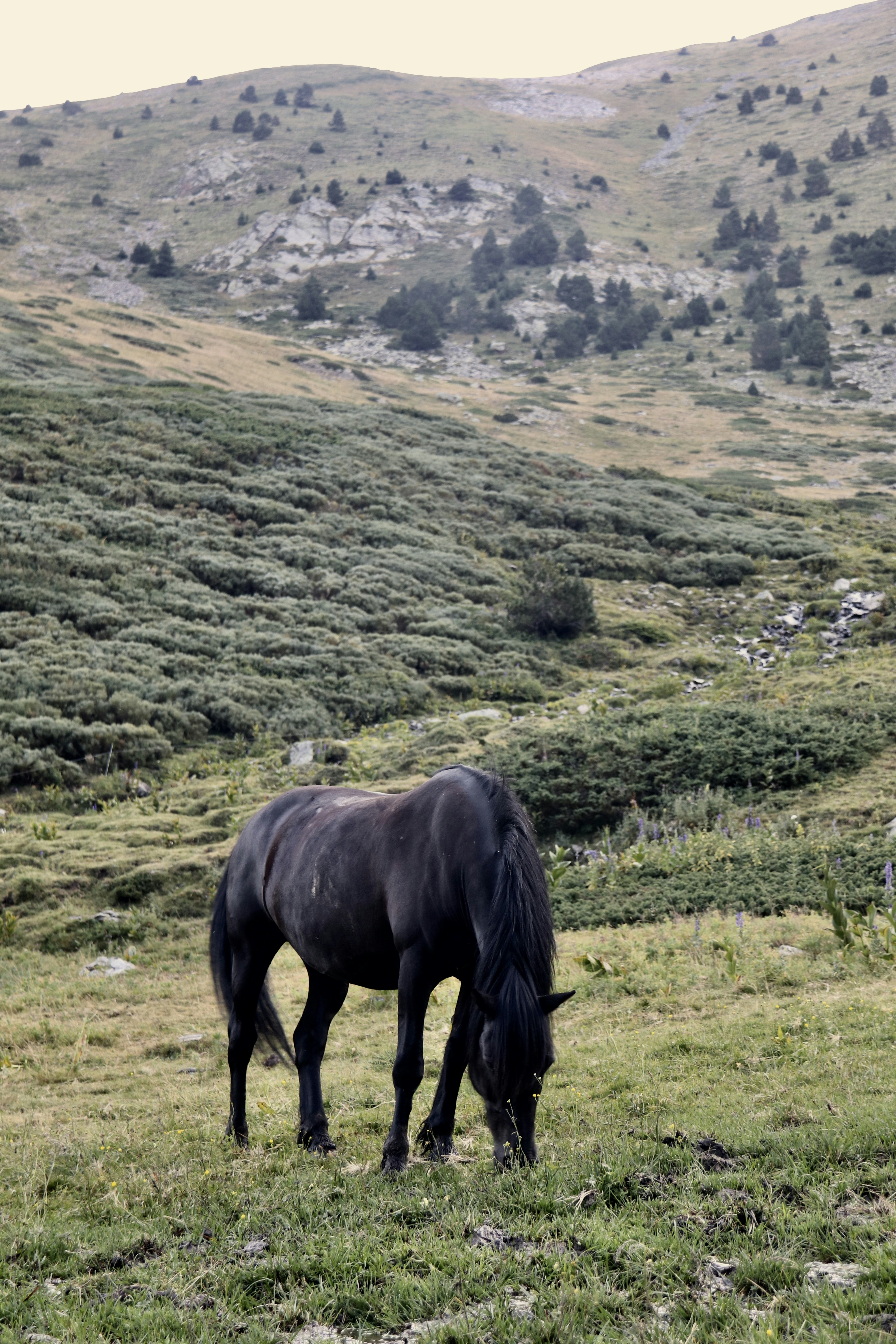 Photo by fabienmaurin