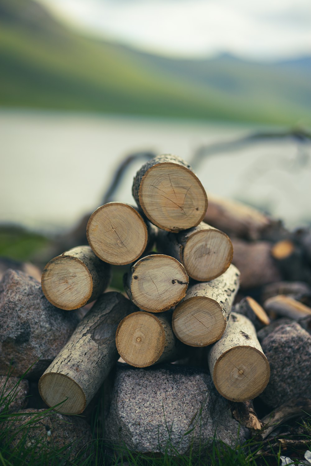 a pile of cut logs