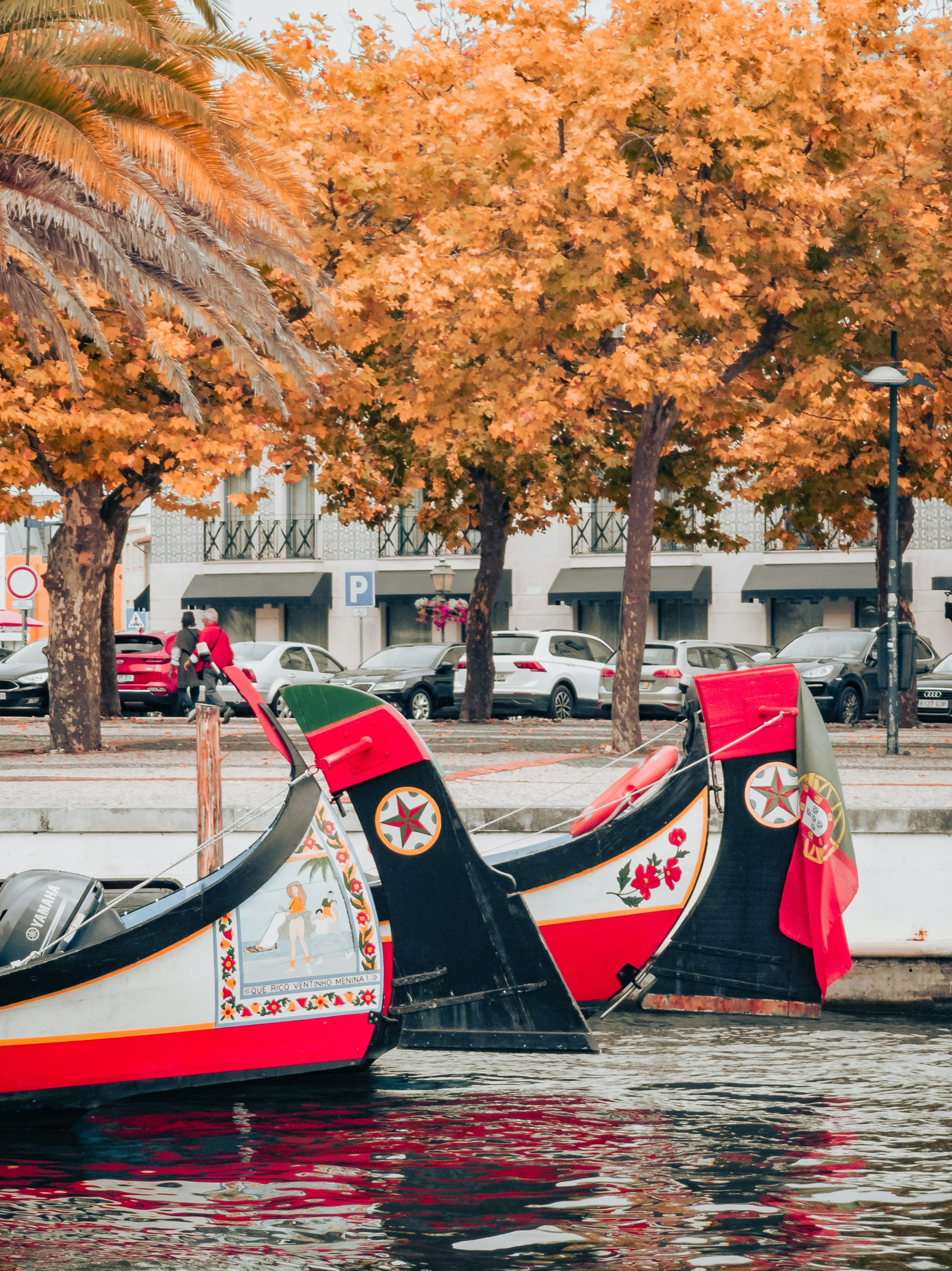 Photo by tiago_f_ferreira