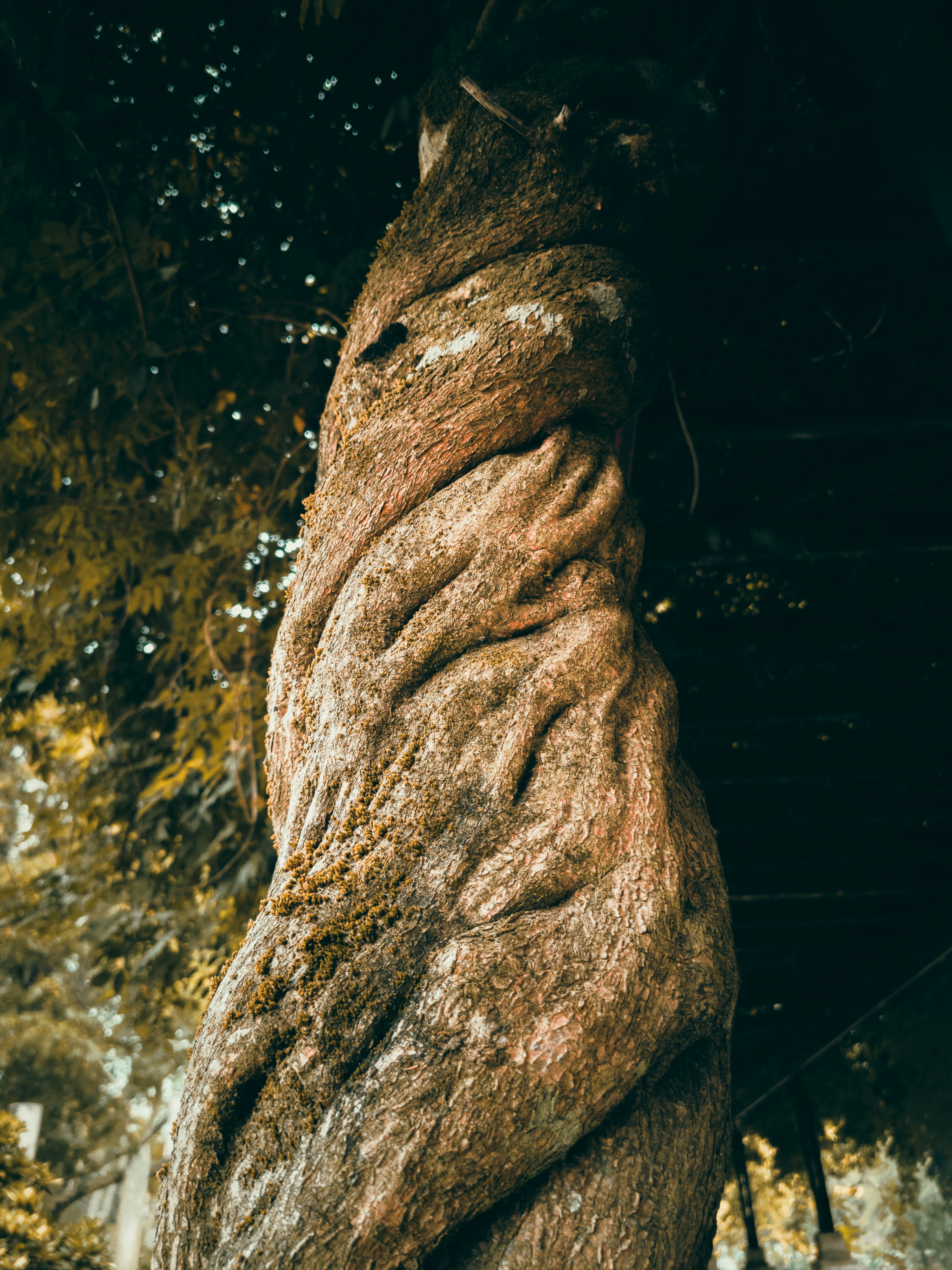 a large rock with a dark background