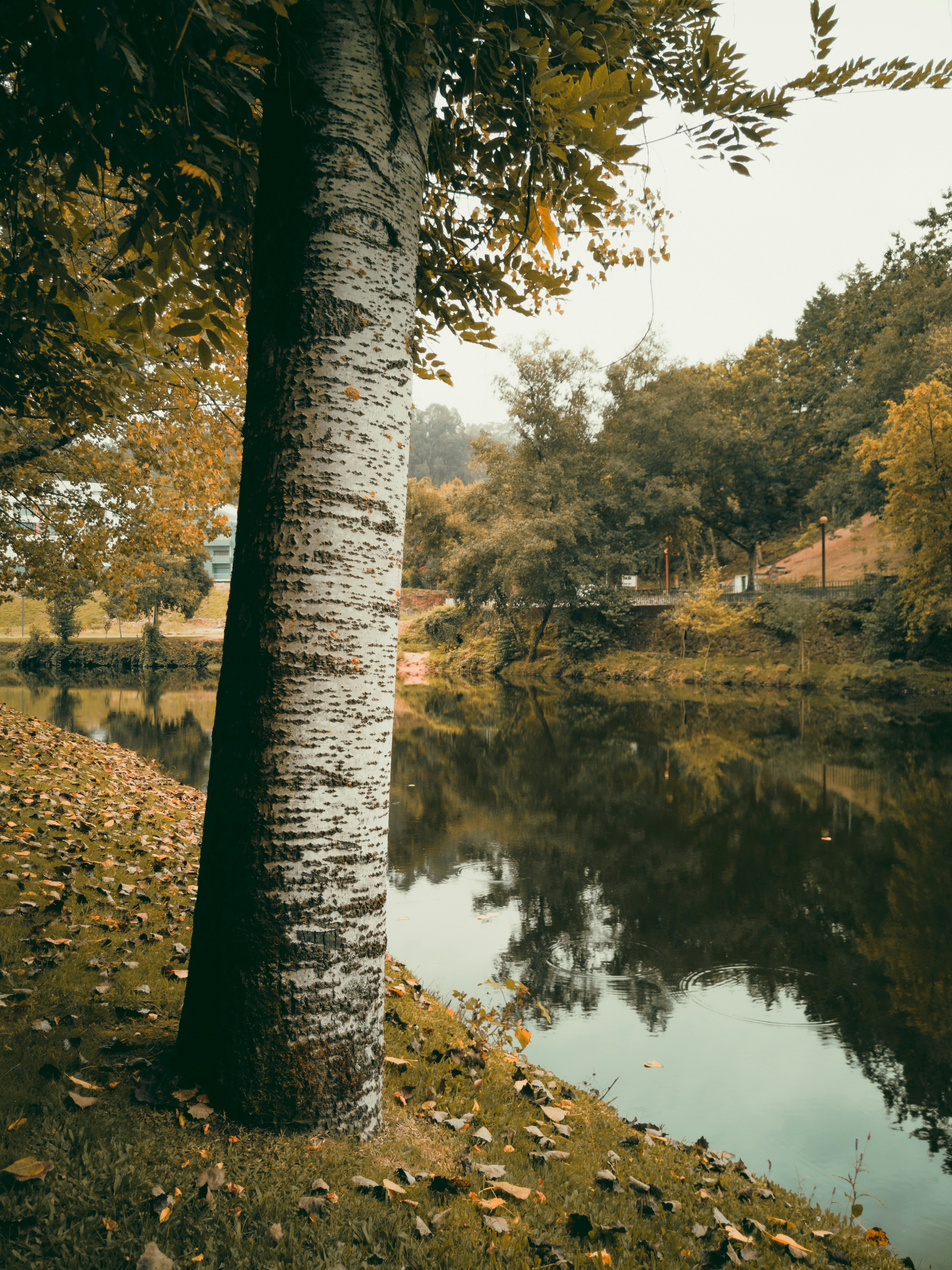 Photo by tiago_f_ferreira