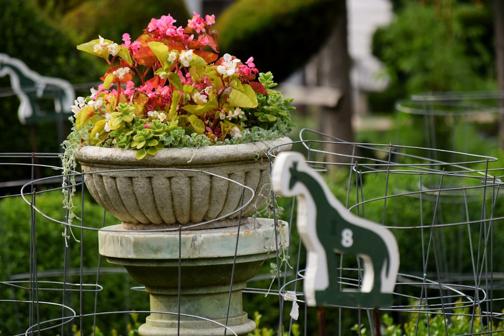a pot of flowers on a fence