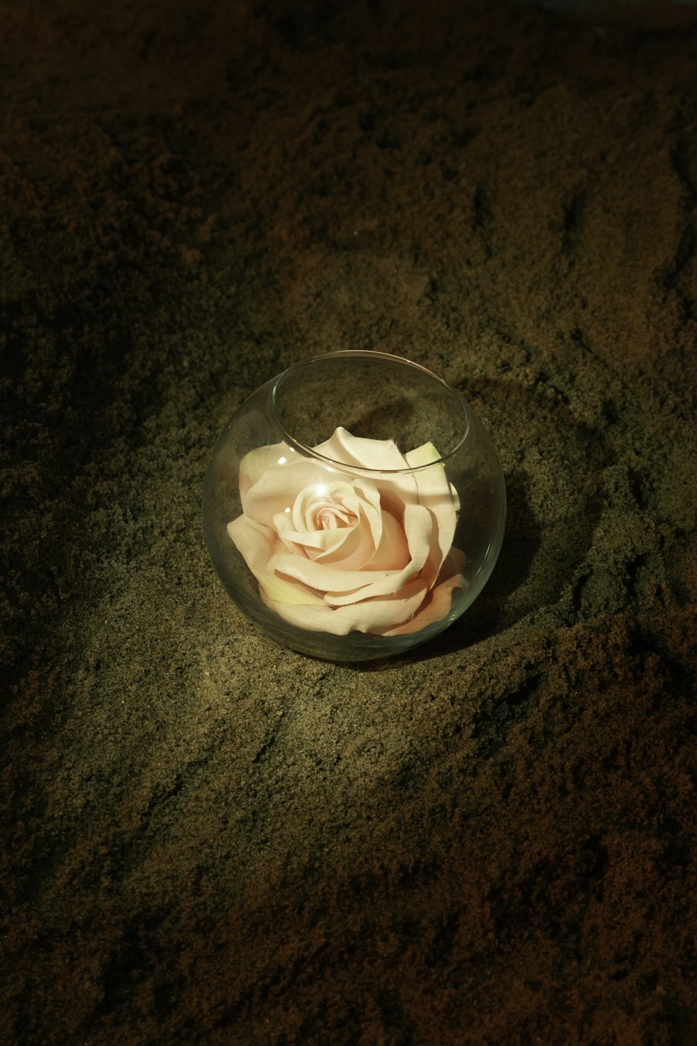 um copo com uma rosa nele