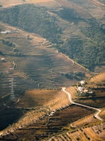 a high angle view of a river