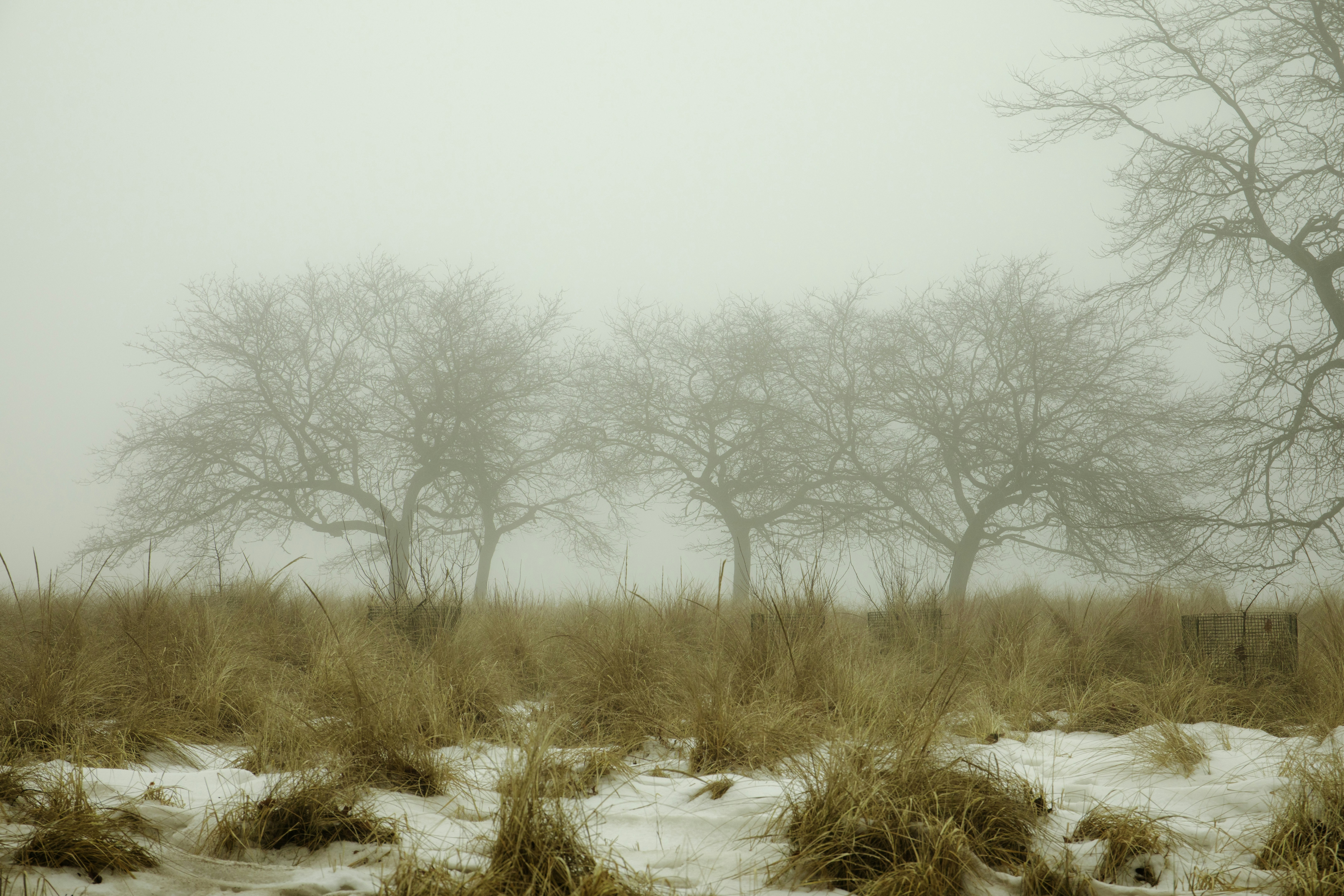 Photo by artbyhybrid