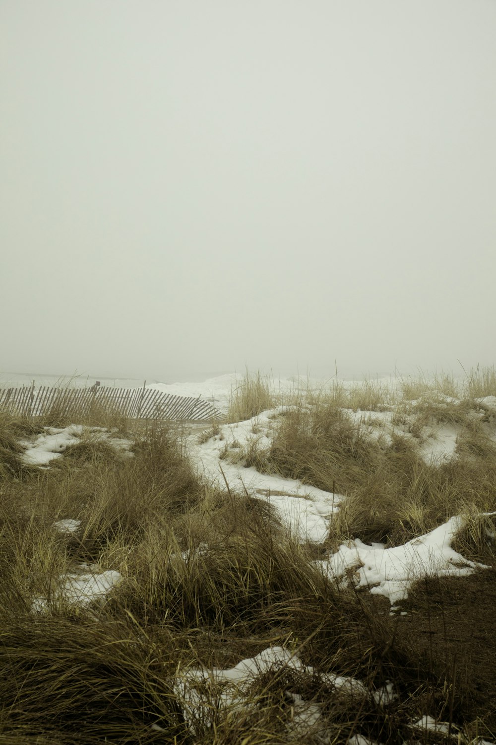 a snow covered field