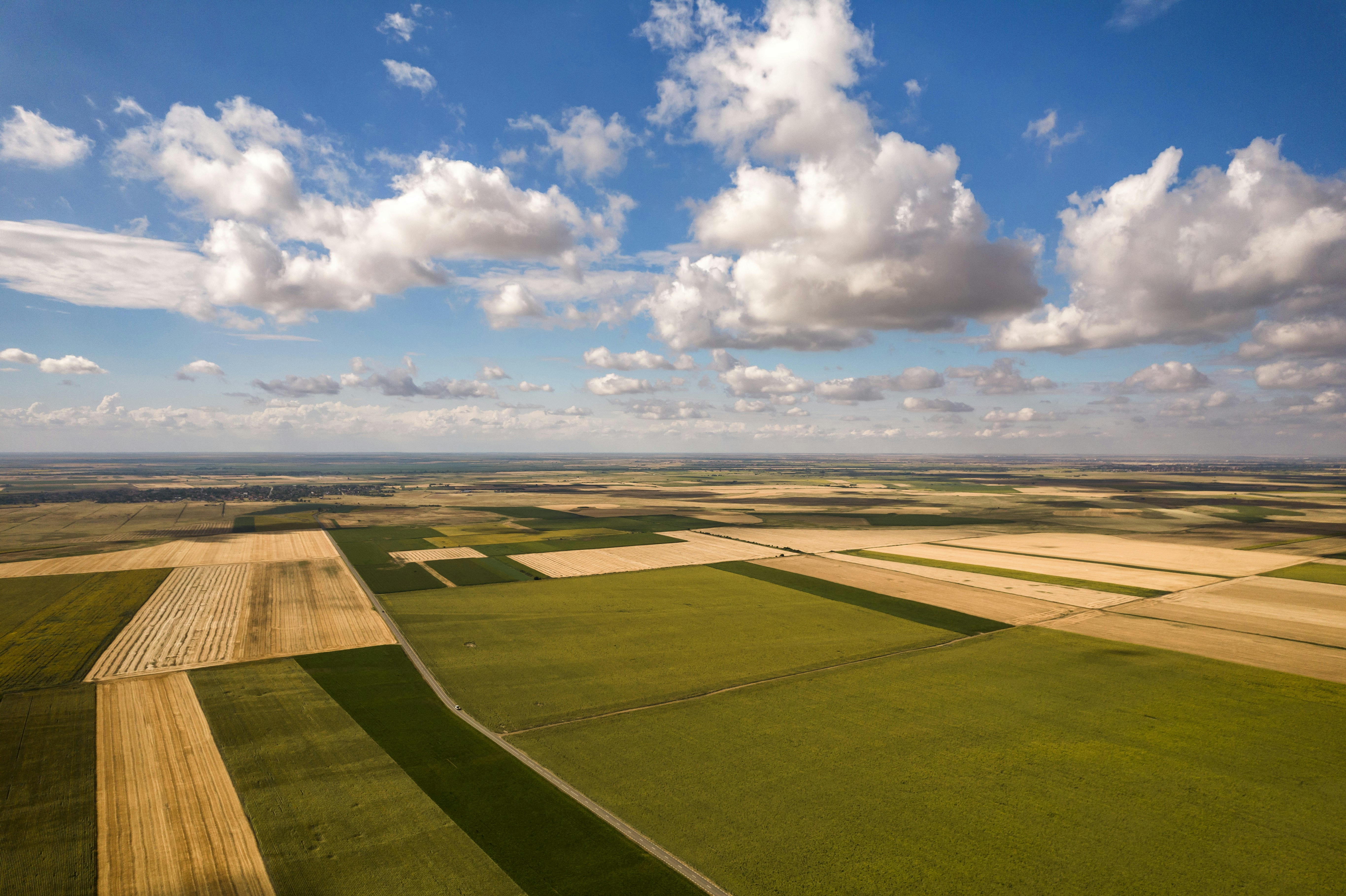 Photo by photosbyfrk