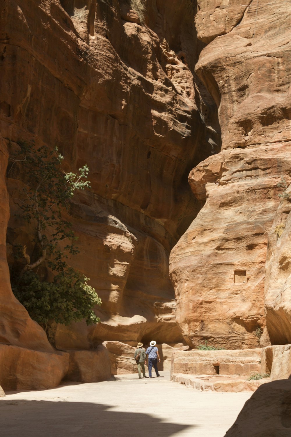 people walking in a canyon