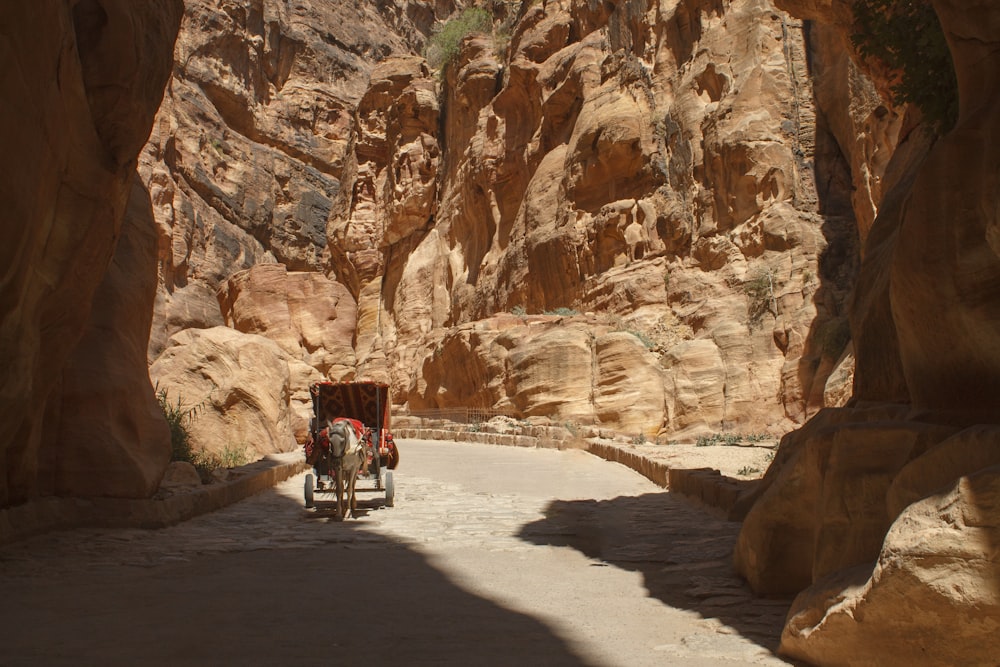a person on a motorcycle in a canyon