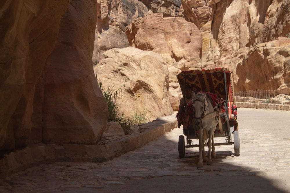 a horse carriage on a road