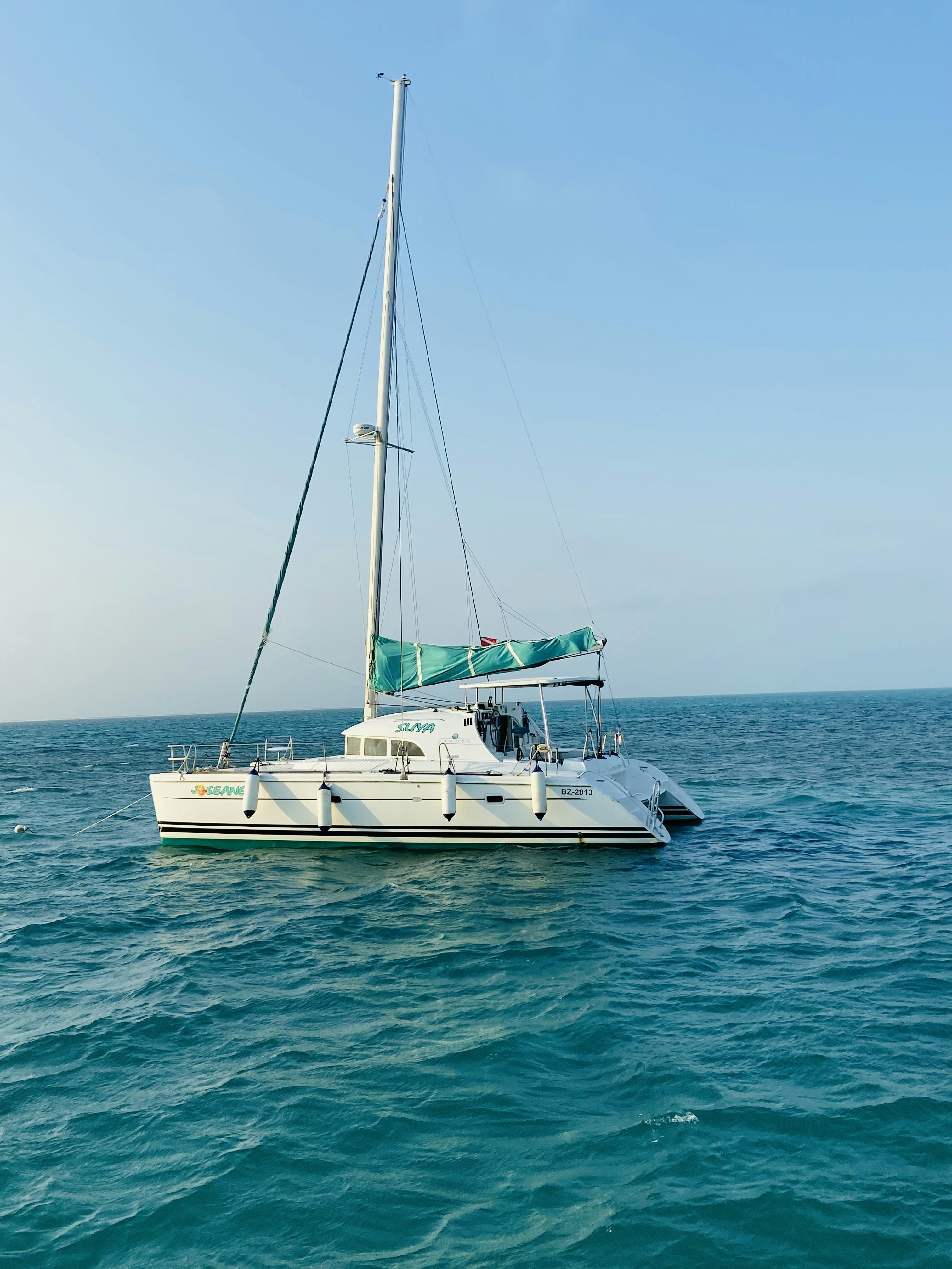 Photo by saveourseas7