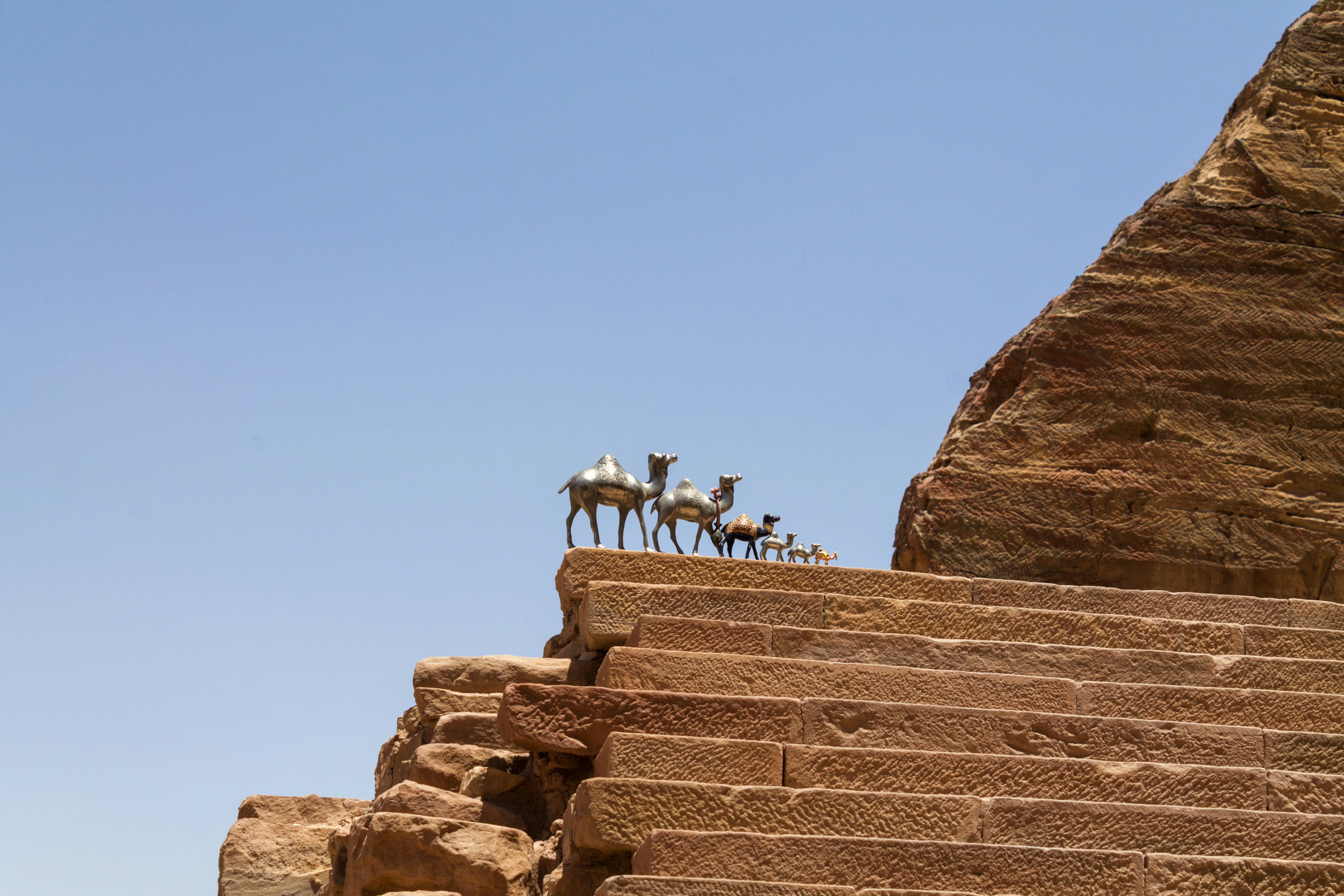 a group of camels on a stone staircase