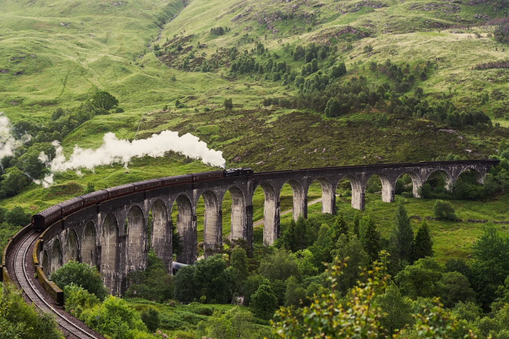 a train on a bridge