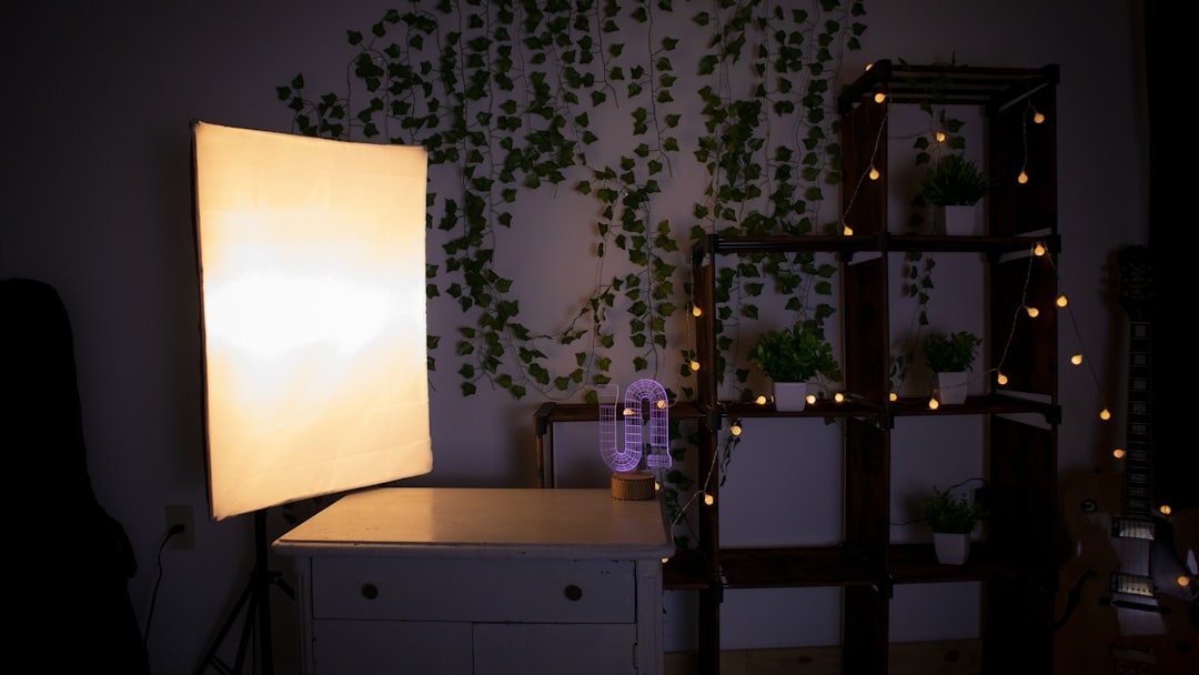 a room with a table and a shelf with plants on it