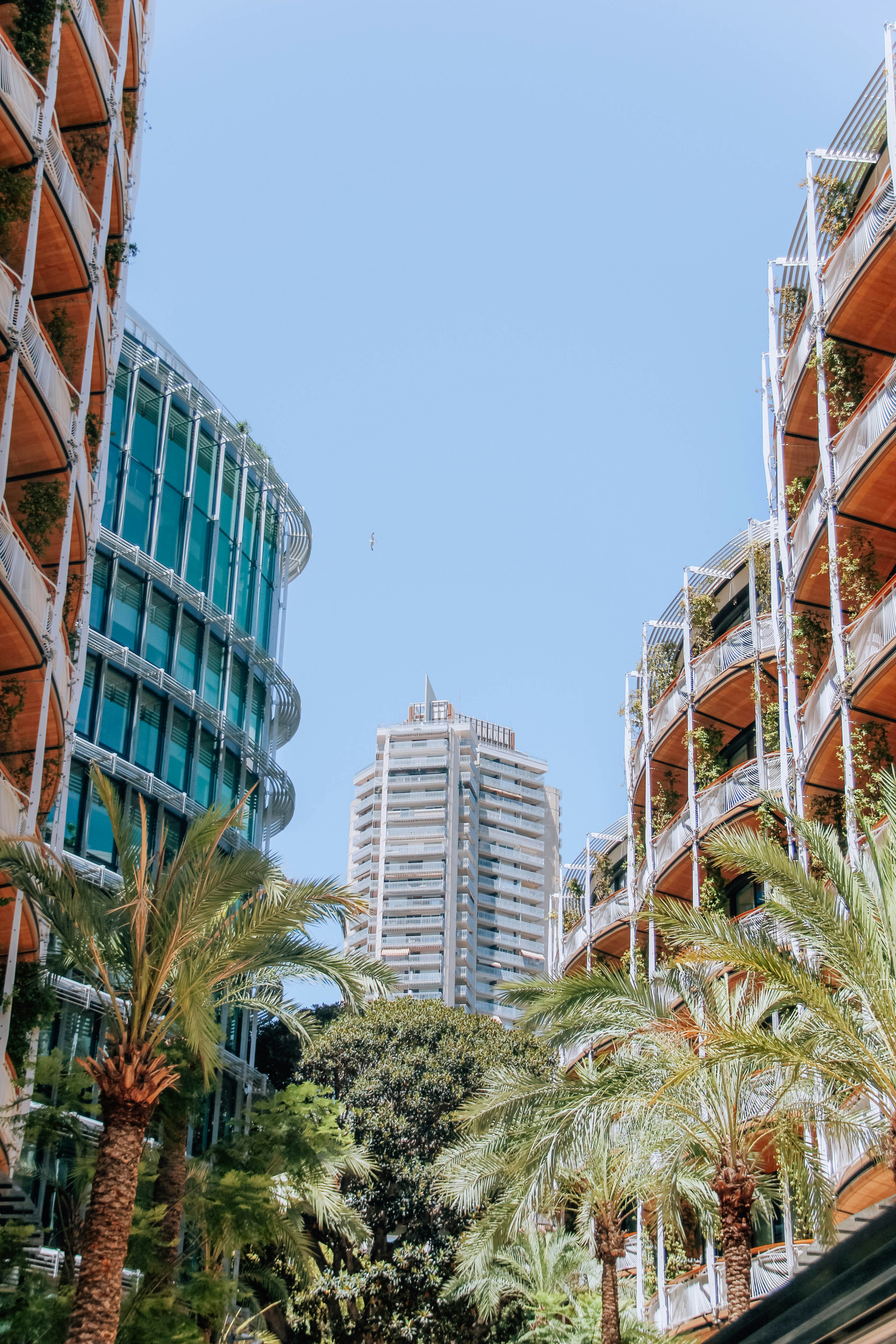 Photo by ingridmartinussen