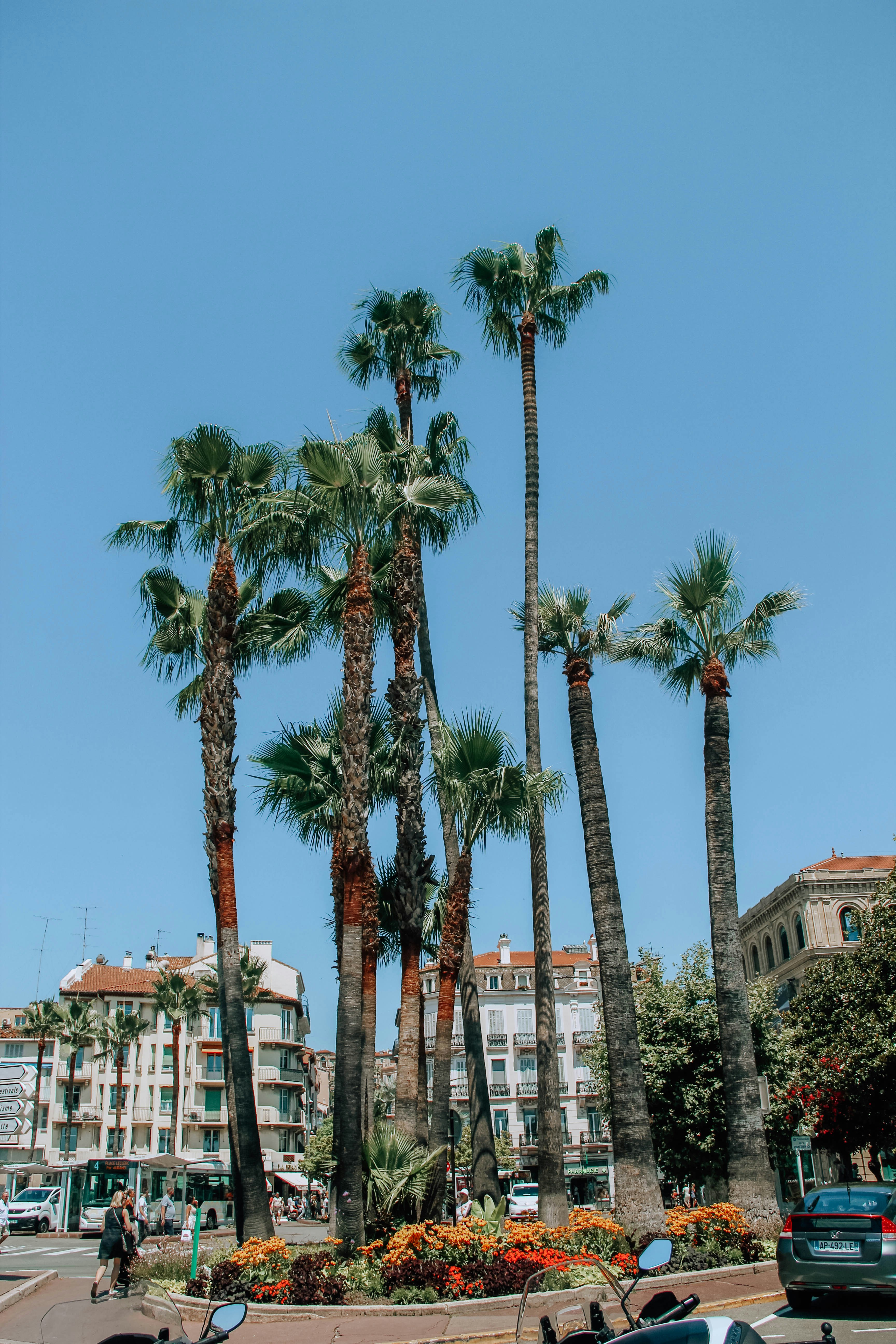 Photo by ingridmartinussen