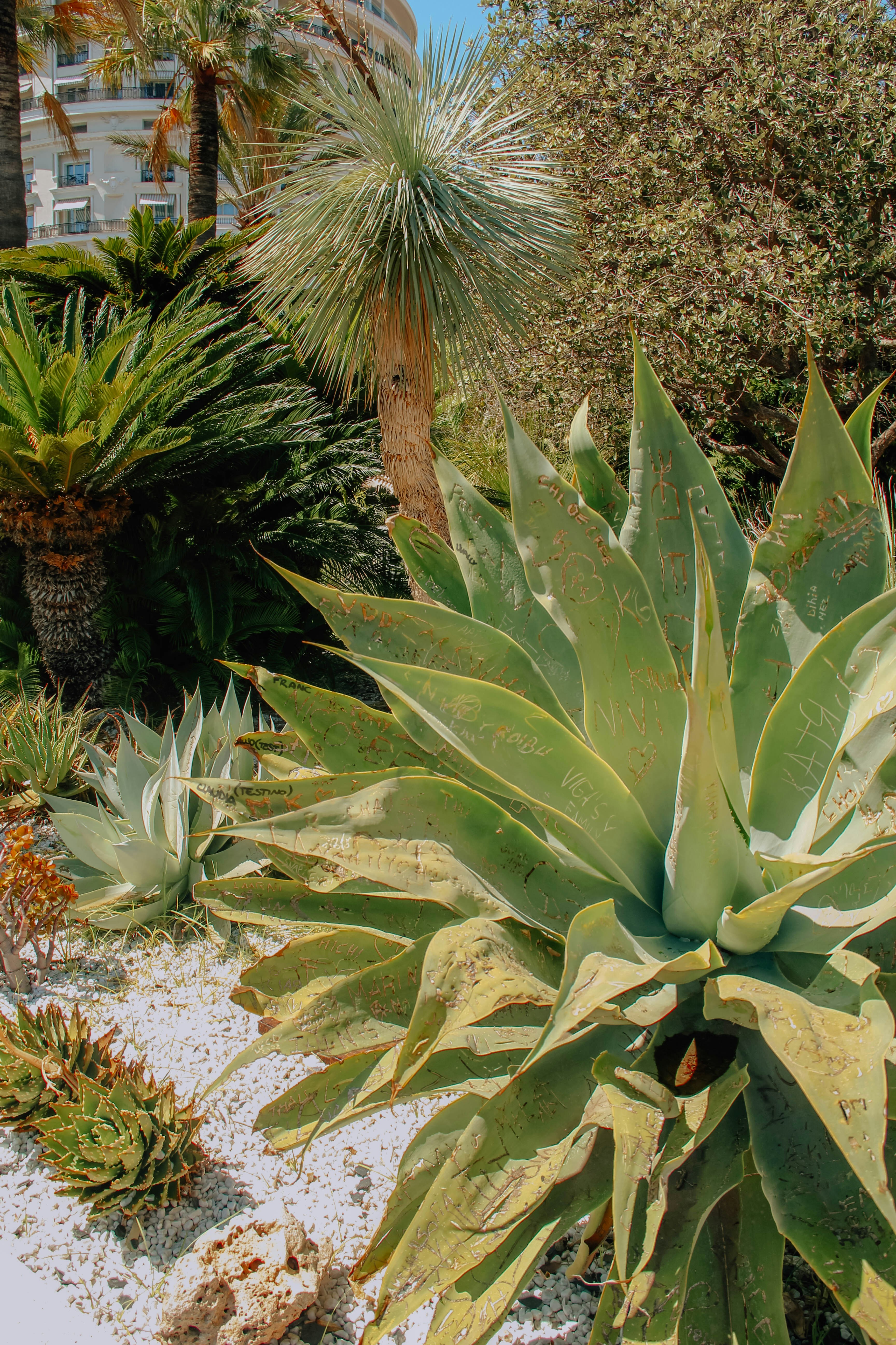 Photo by ingridmartinussen