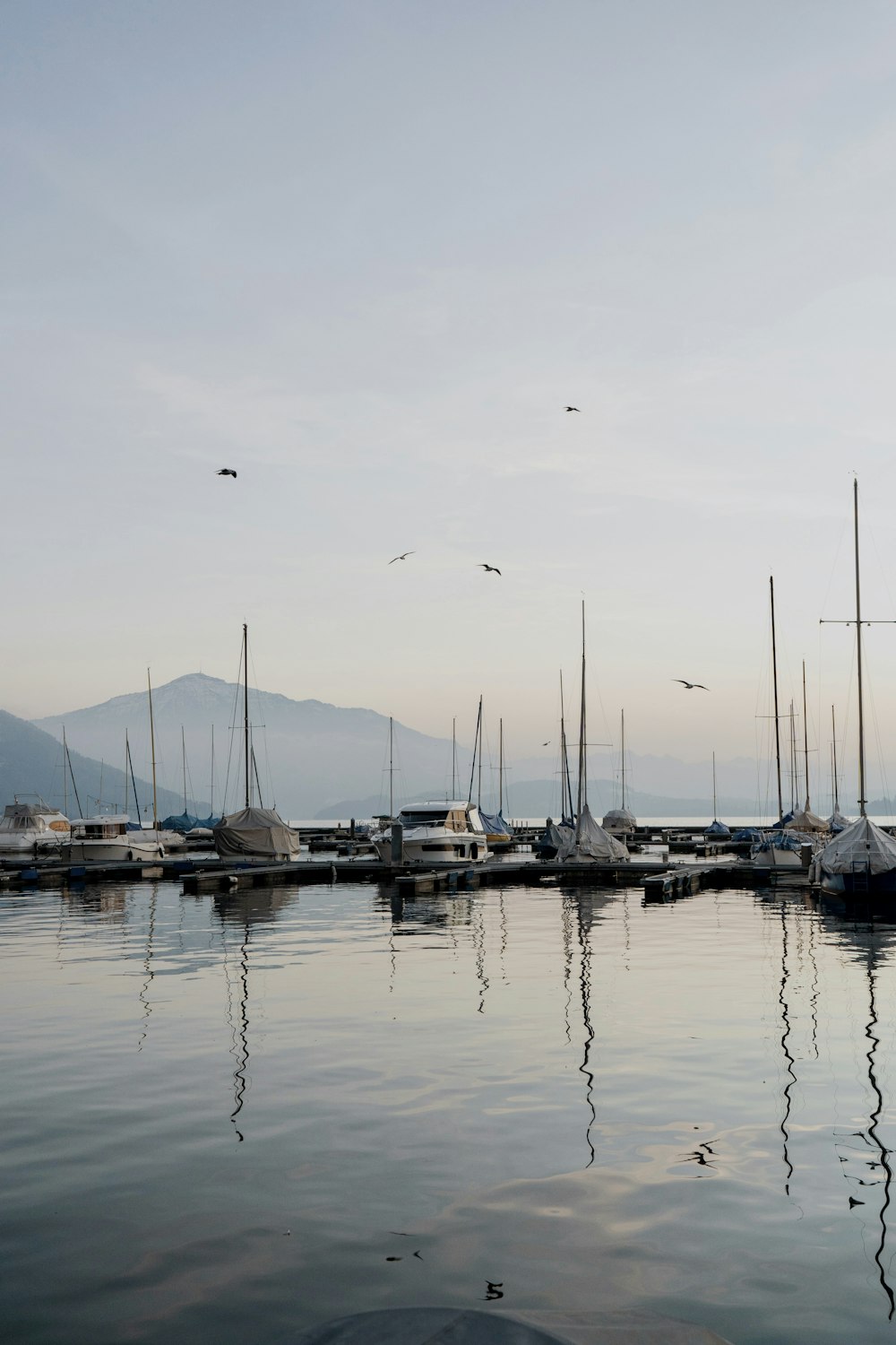 a group of boats sit in a harbor