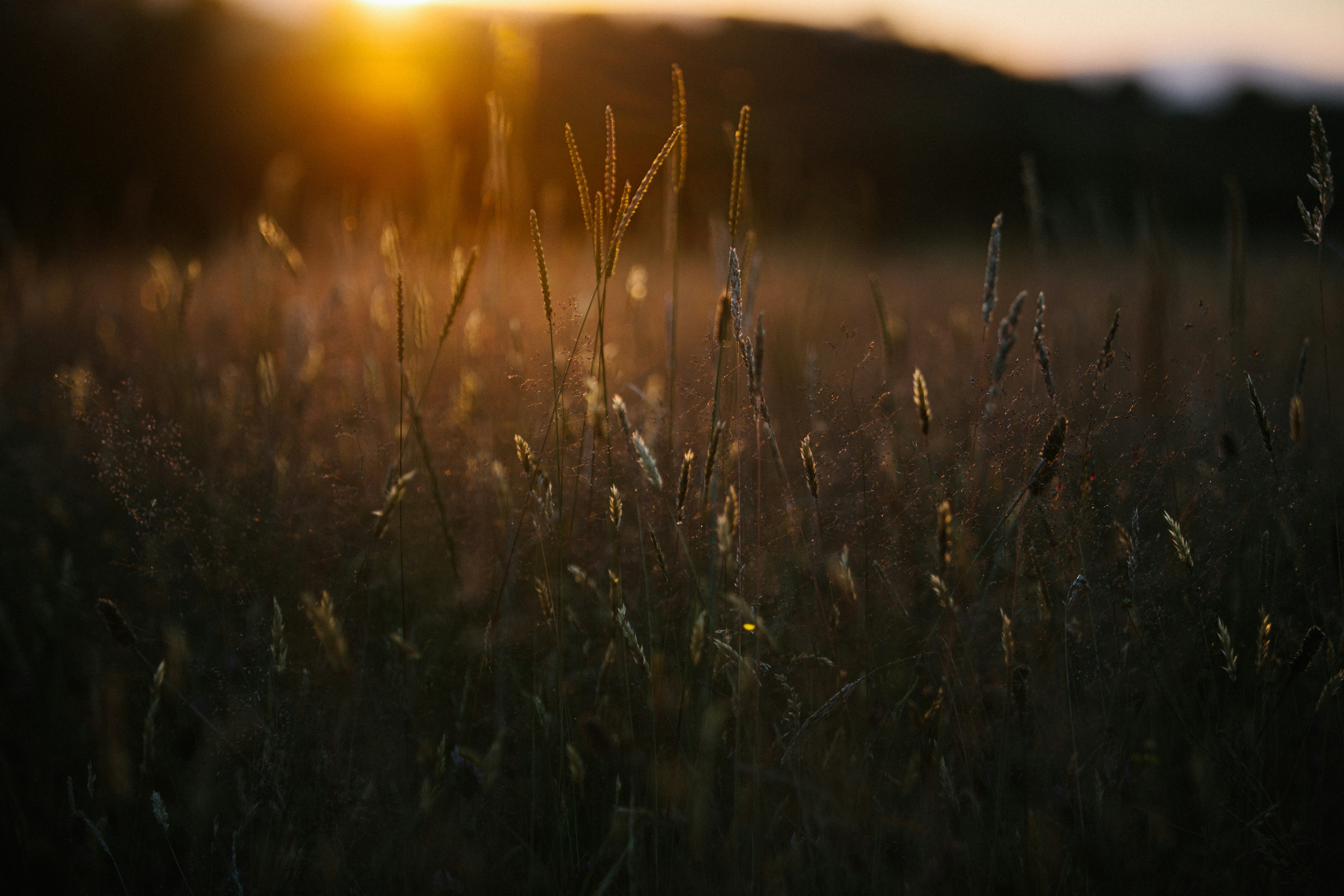 Photo by mikejerskine