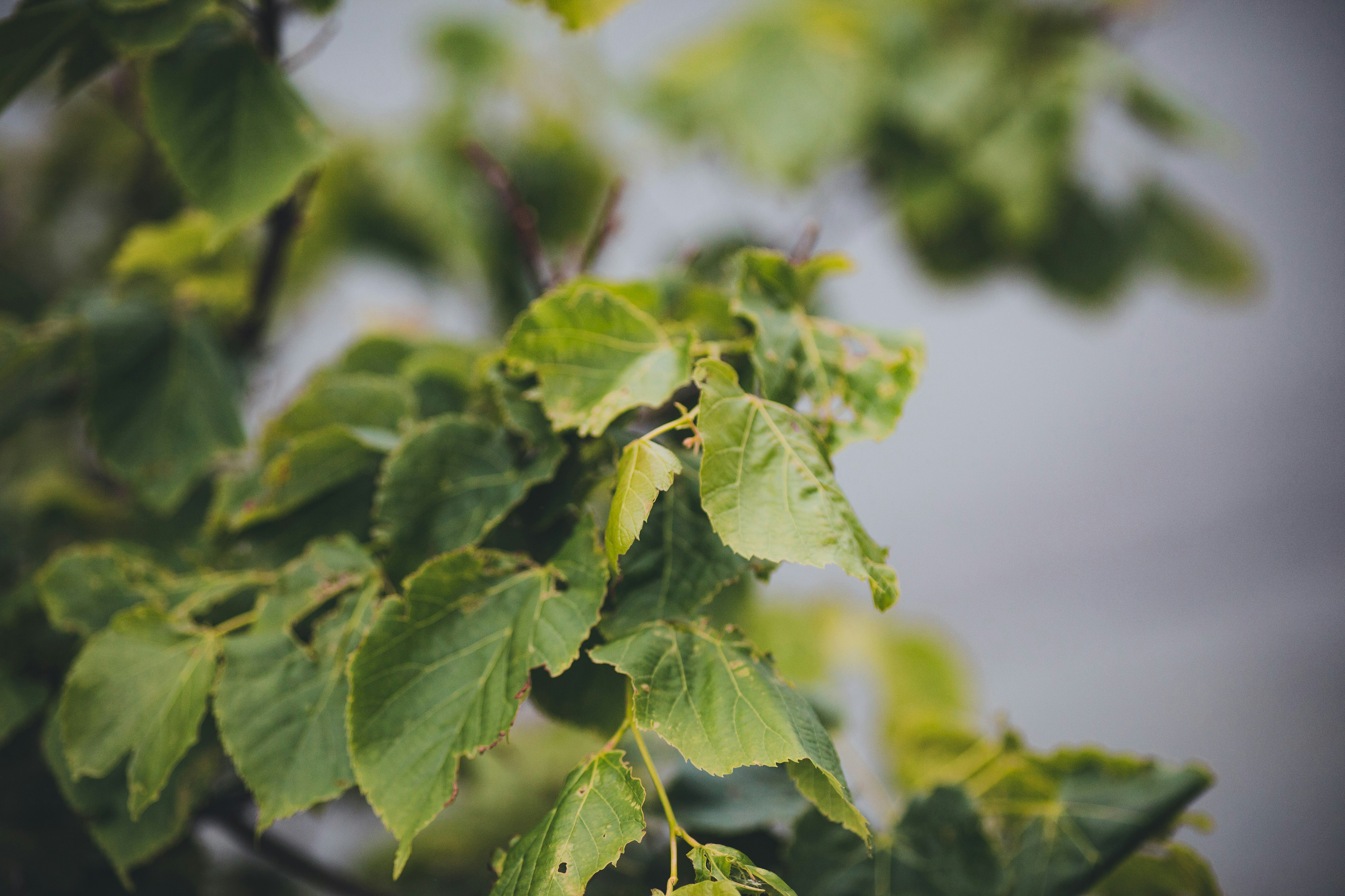 Photo by introspectivedsgn