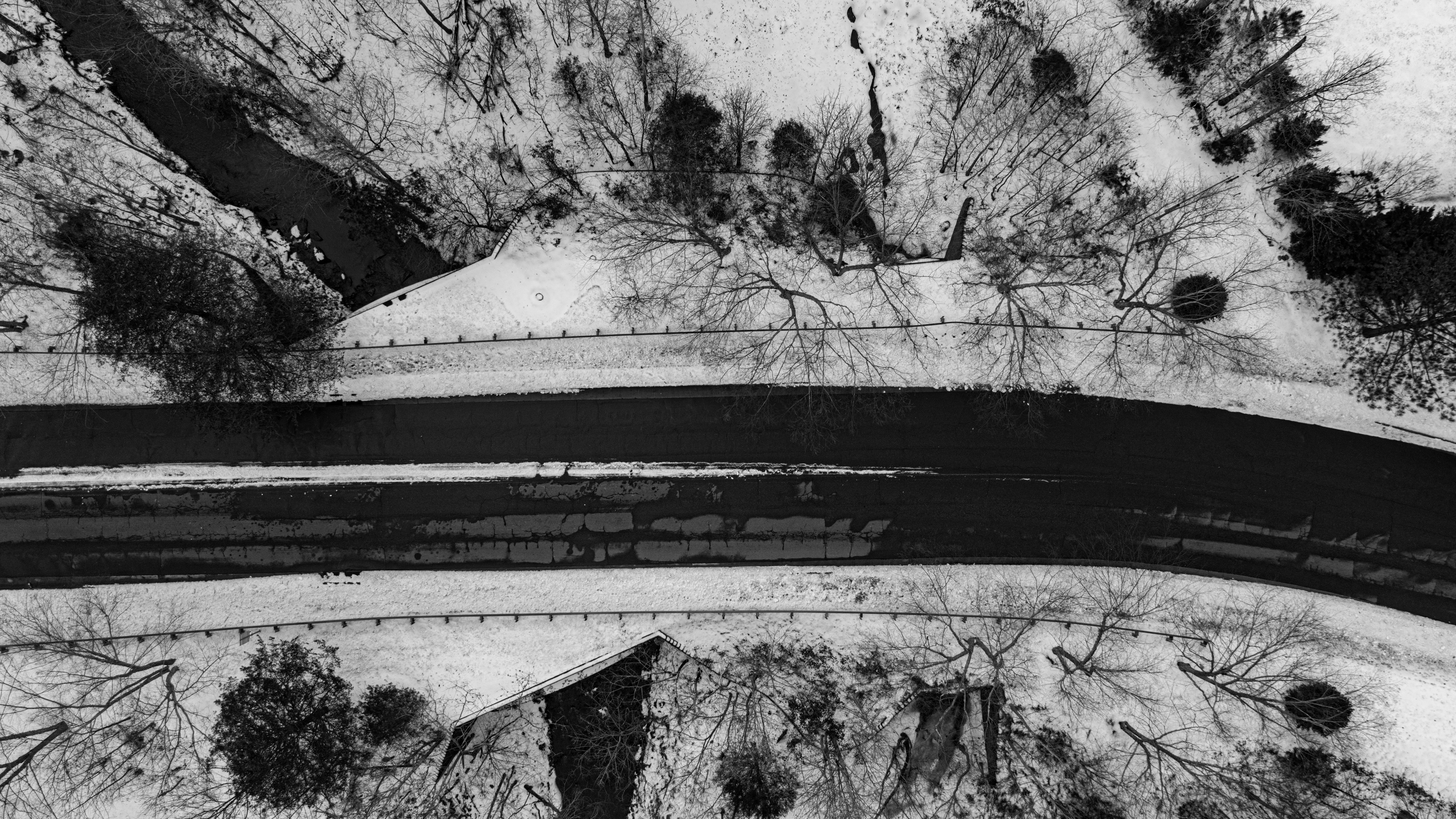 Photo by poplardigital