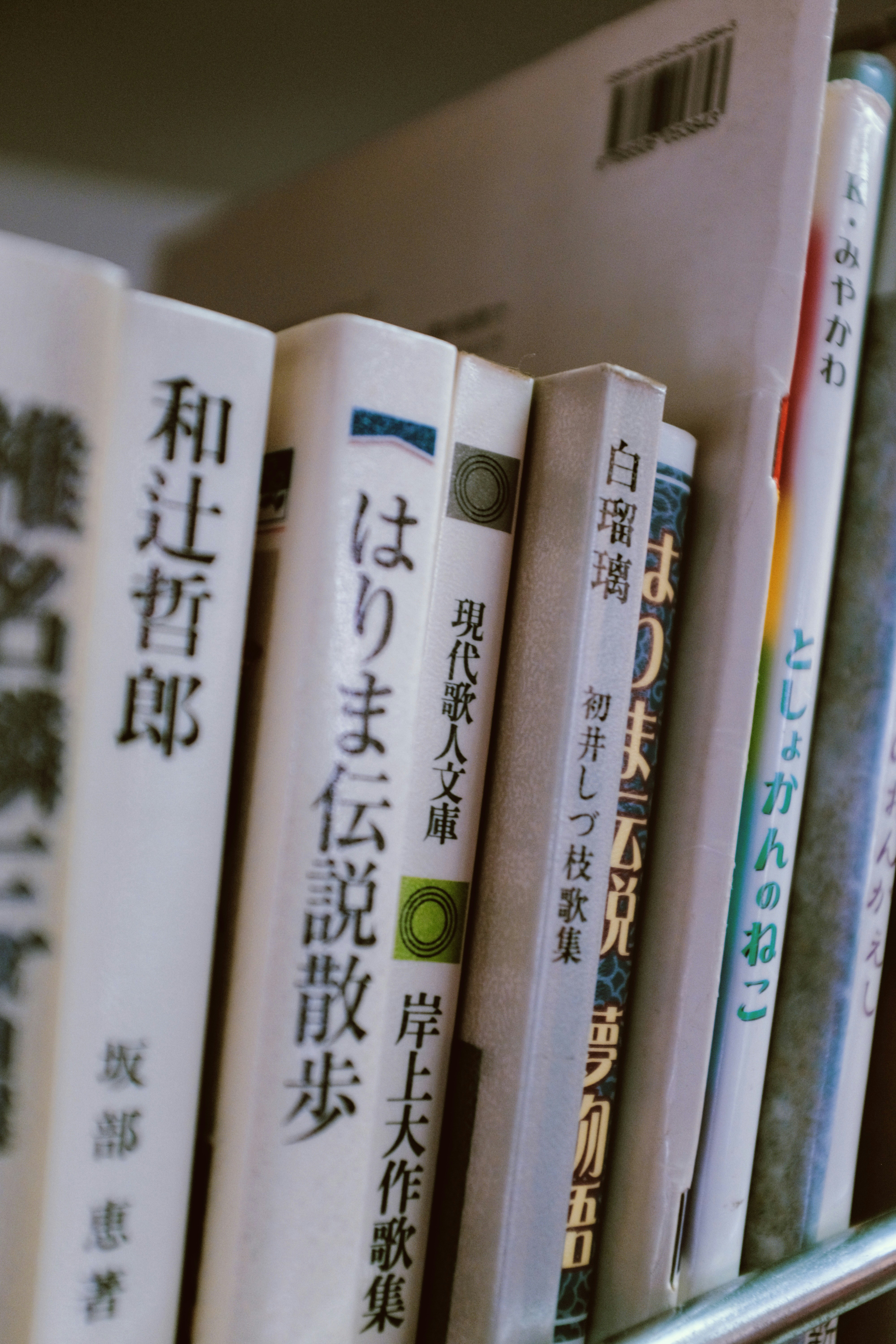 หนังสือหลายเล่มบนชั้น