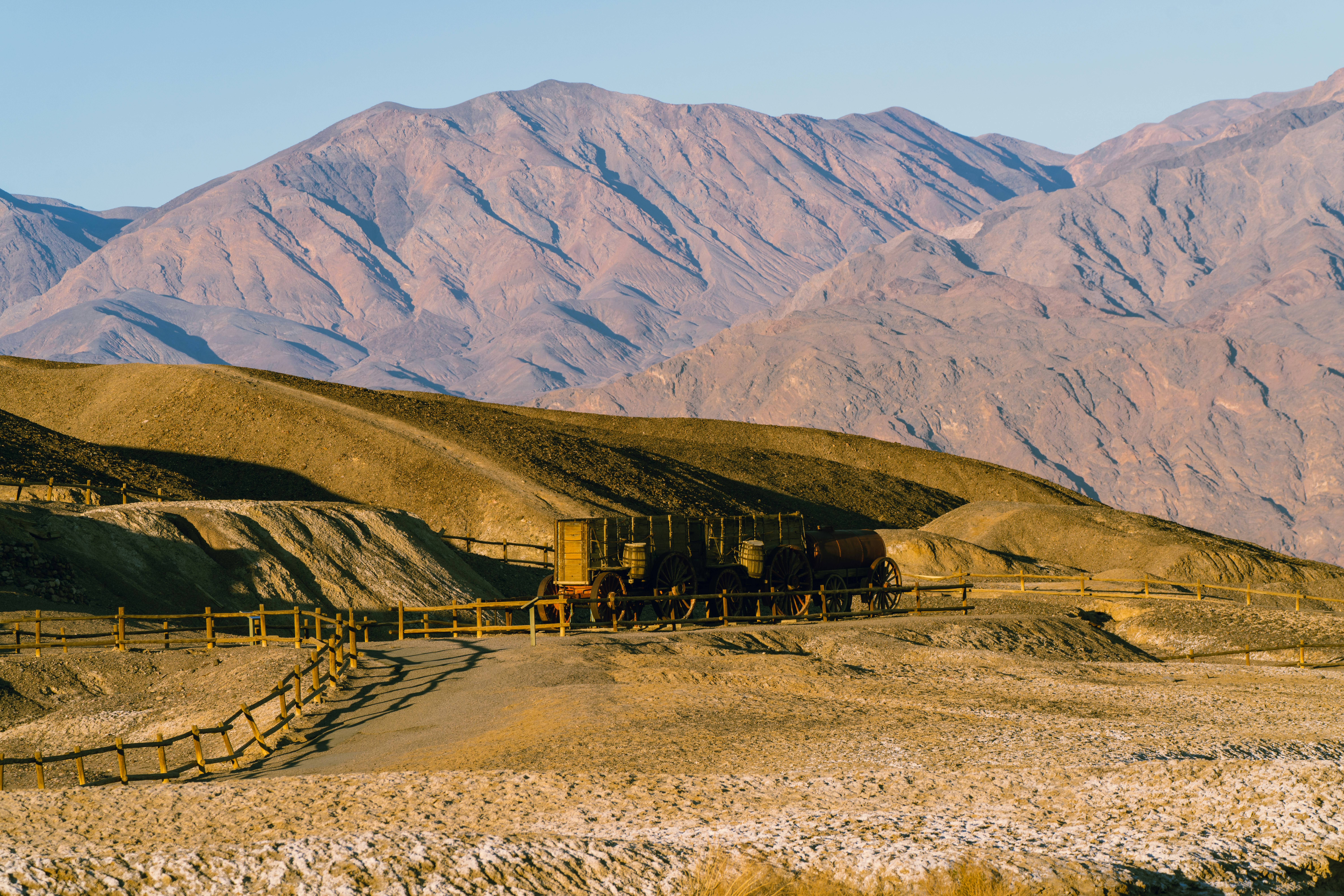 Biogeochemical Engineers (image credits: unsplash)
